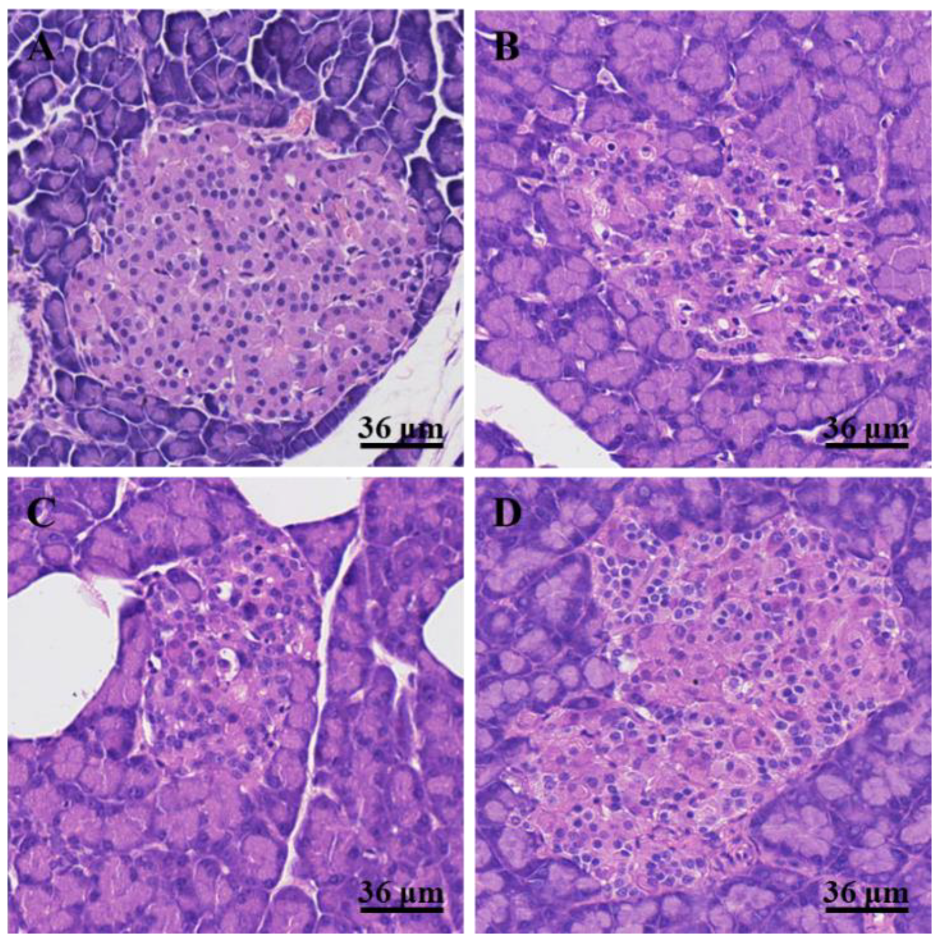 Nutrients 14 03369 g002 550
