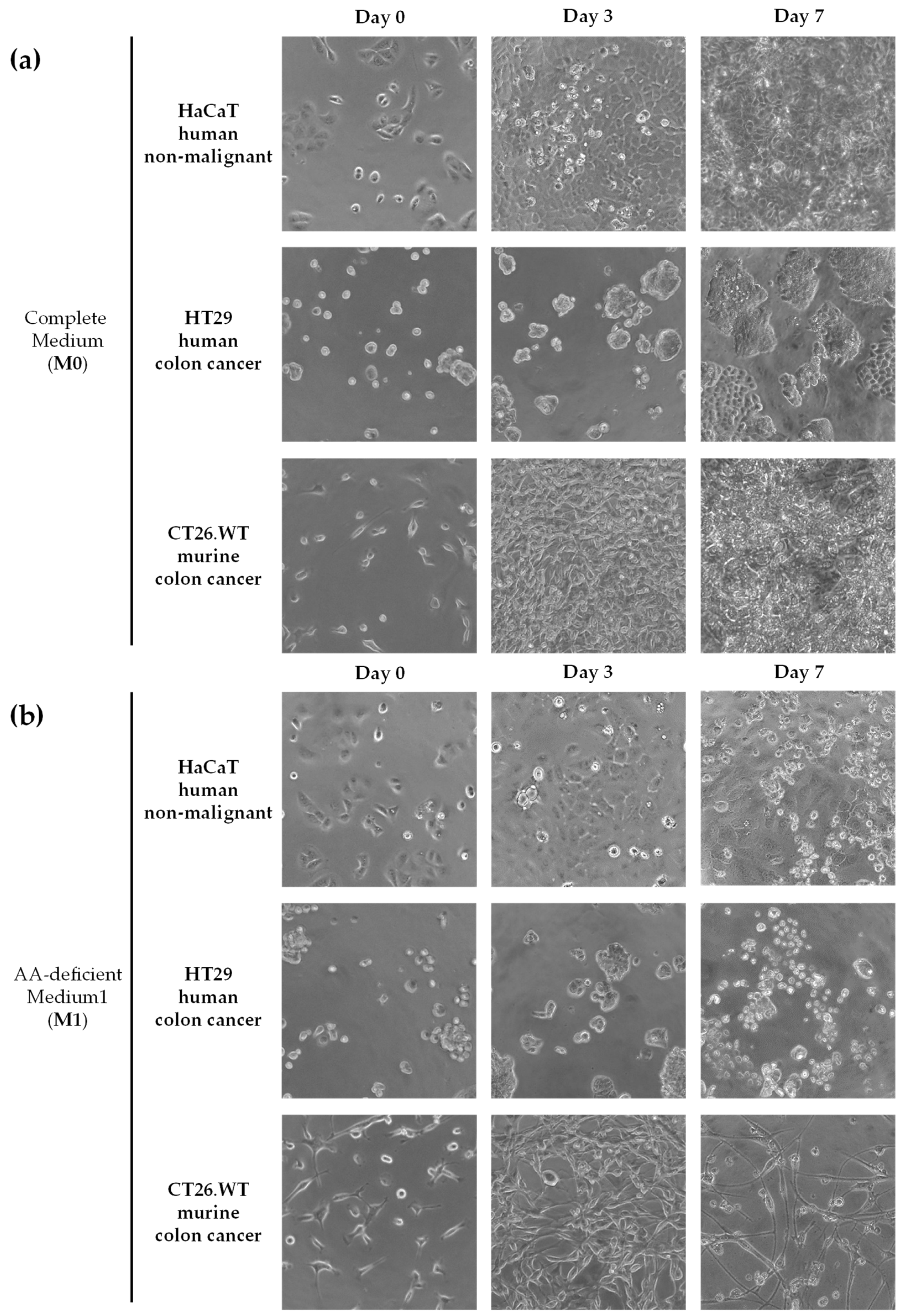 Nutrients 14 03378 g001