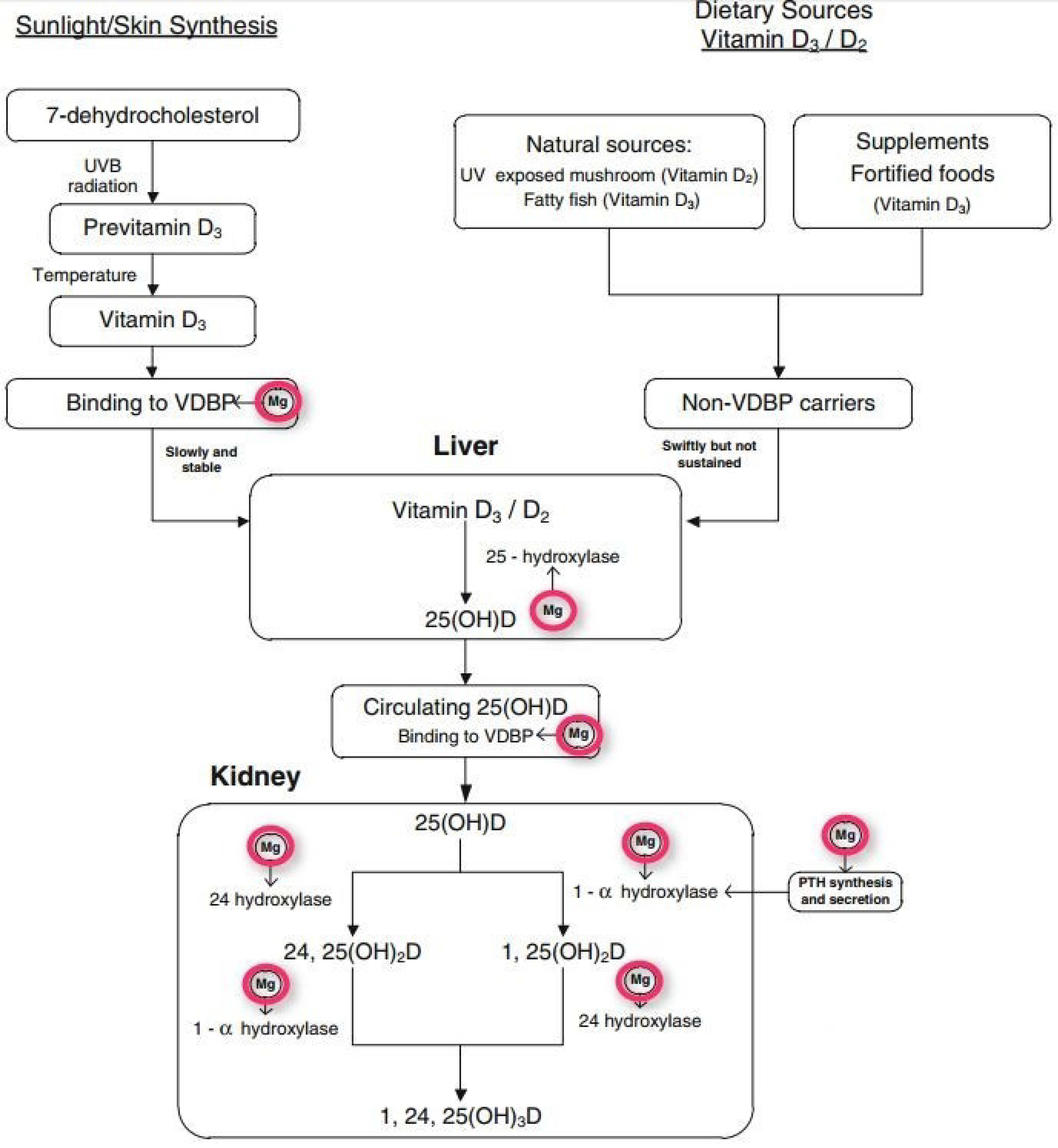Nutrients 14 03387 g001
