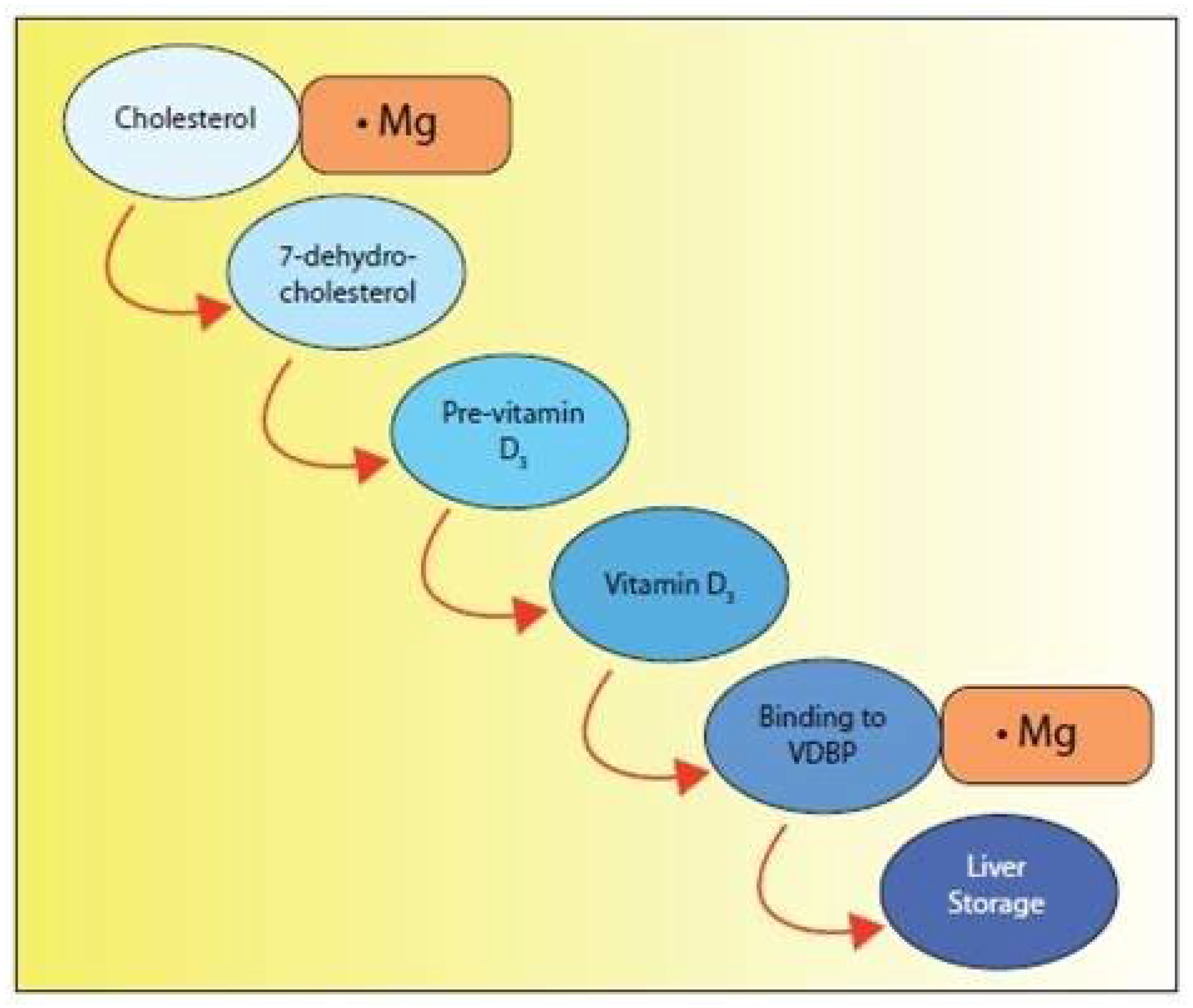 Nutrients 14 03387 g002