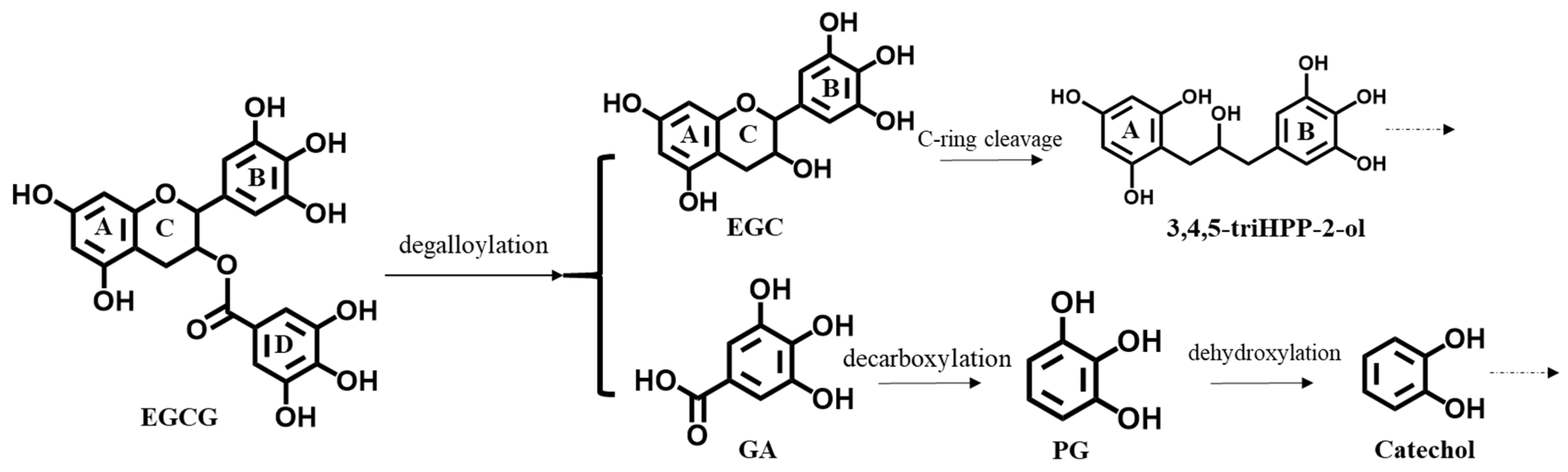 Nutrients 14 03392 g001 550