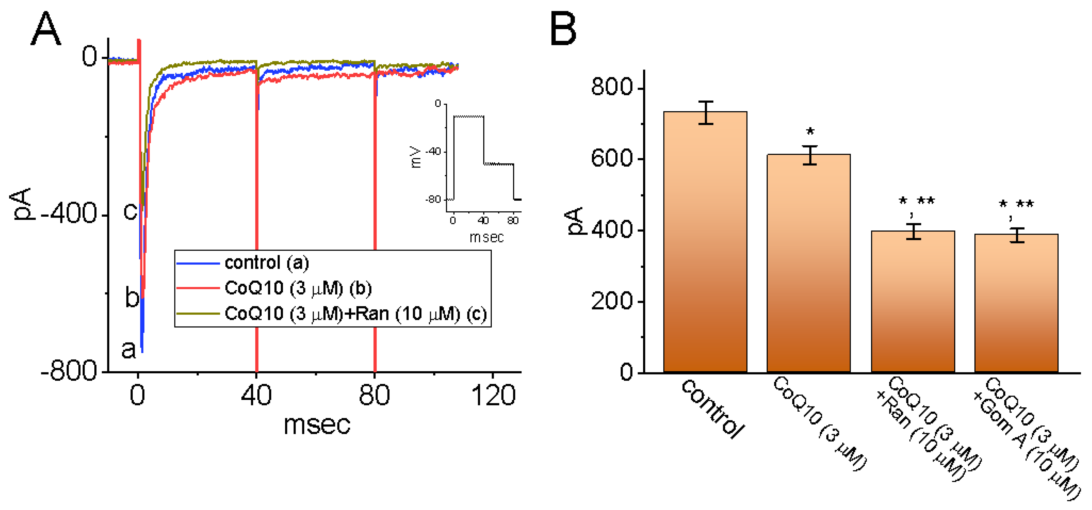Nutrients 14 03393 g006 Nutrients 14 03393 g006