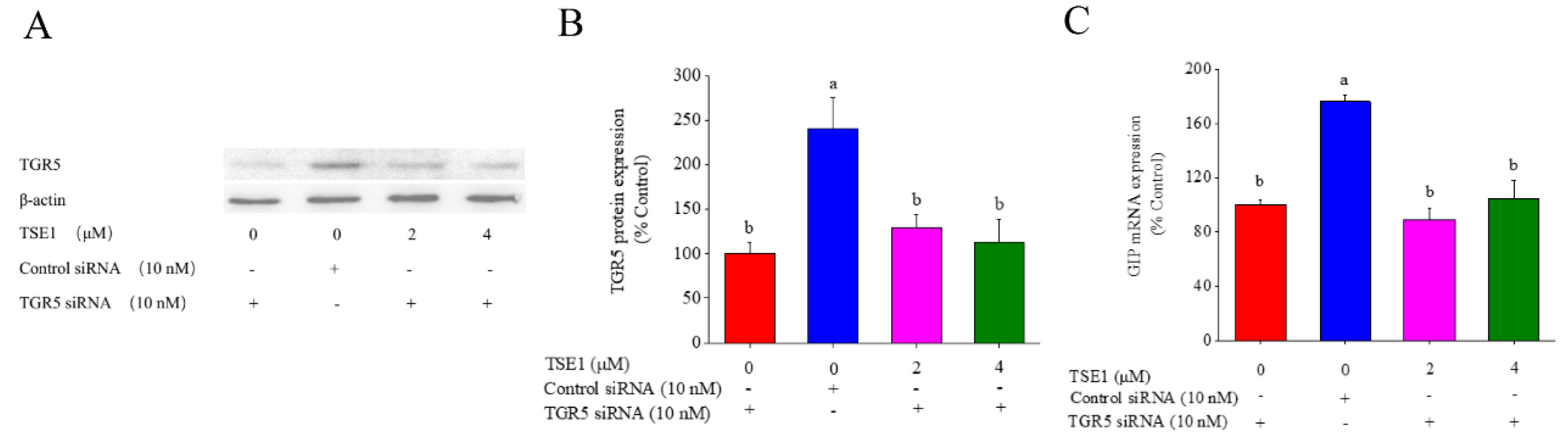 Imagej western blot quantification jordwx