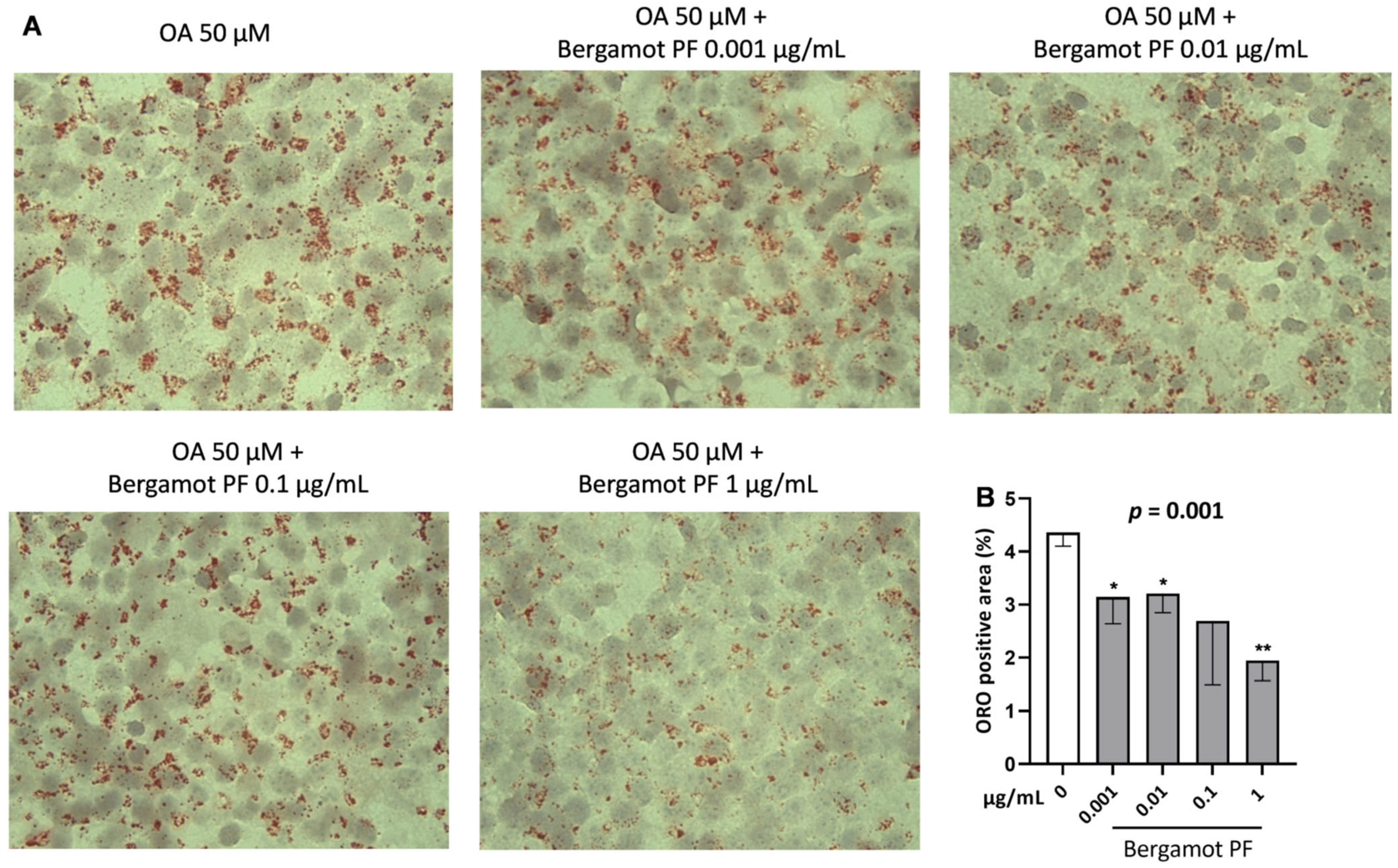 Nutrients 14 03434 g001