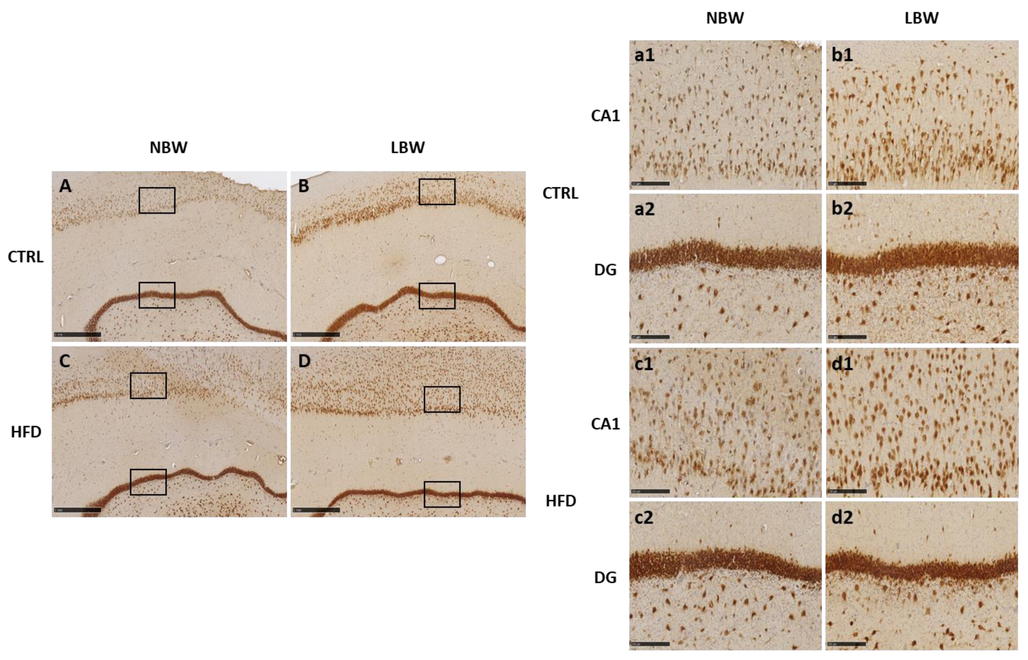 Nutrients 14 03440 g001 Nutrients 14 03440 g001