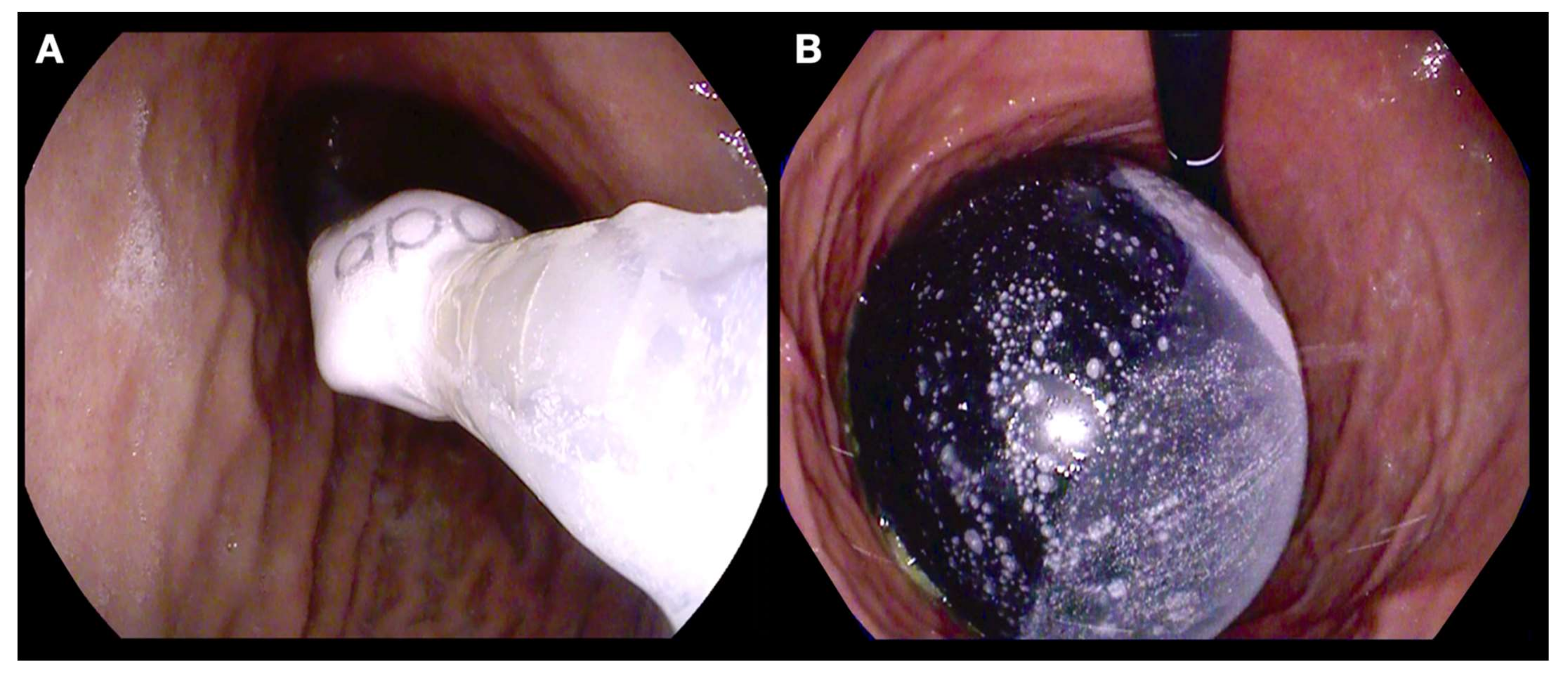 Nutrients 14 03450 g001 550