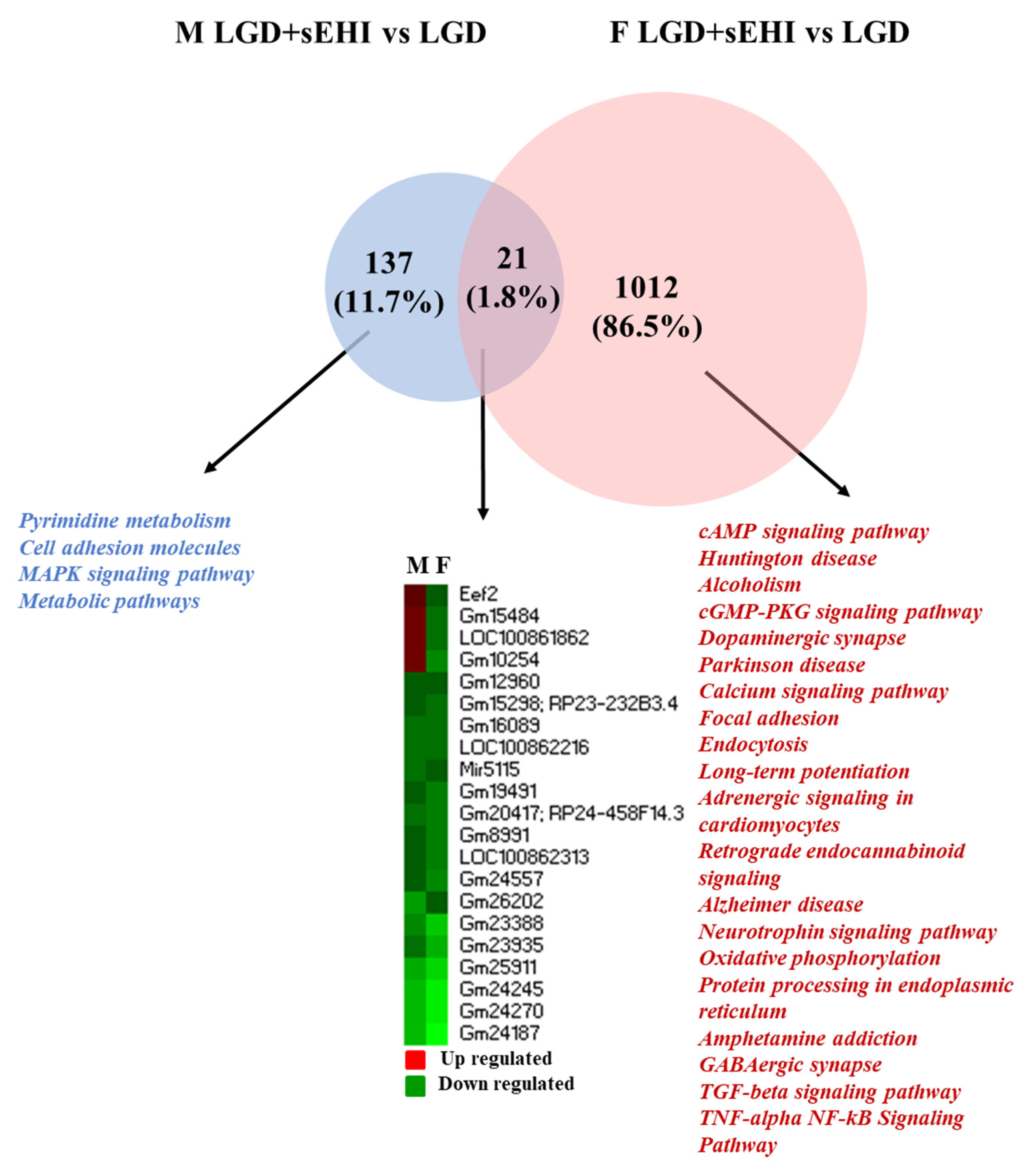 Nutrients 14 03451 g006