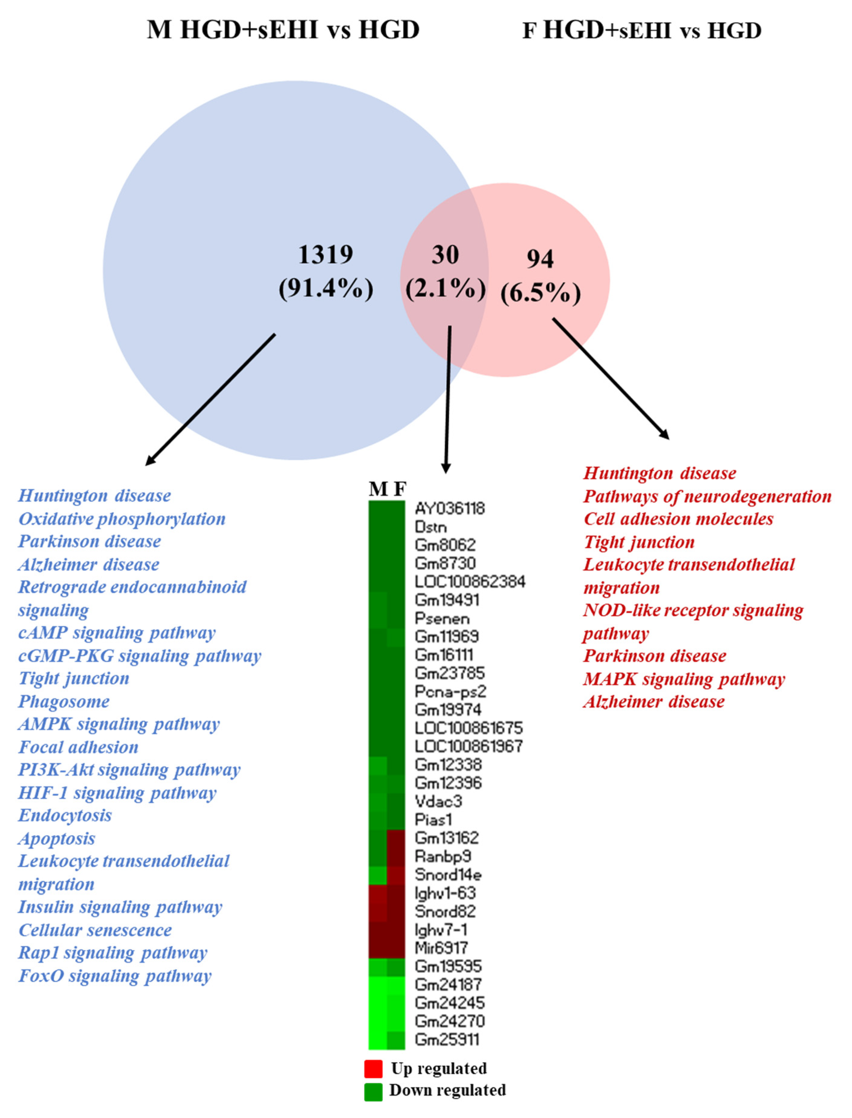 Nutrients 14 03451 g007