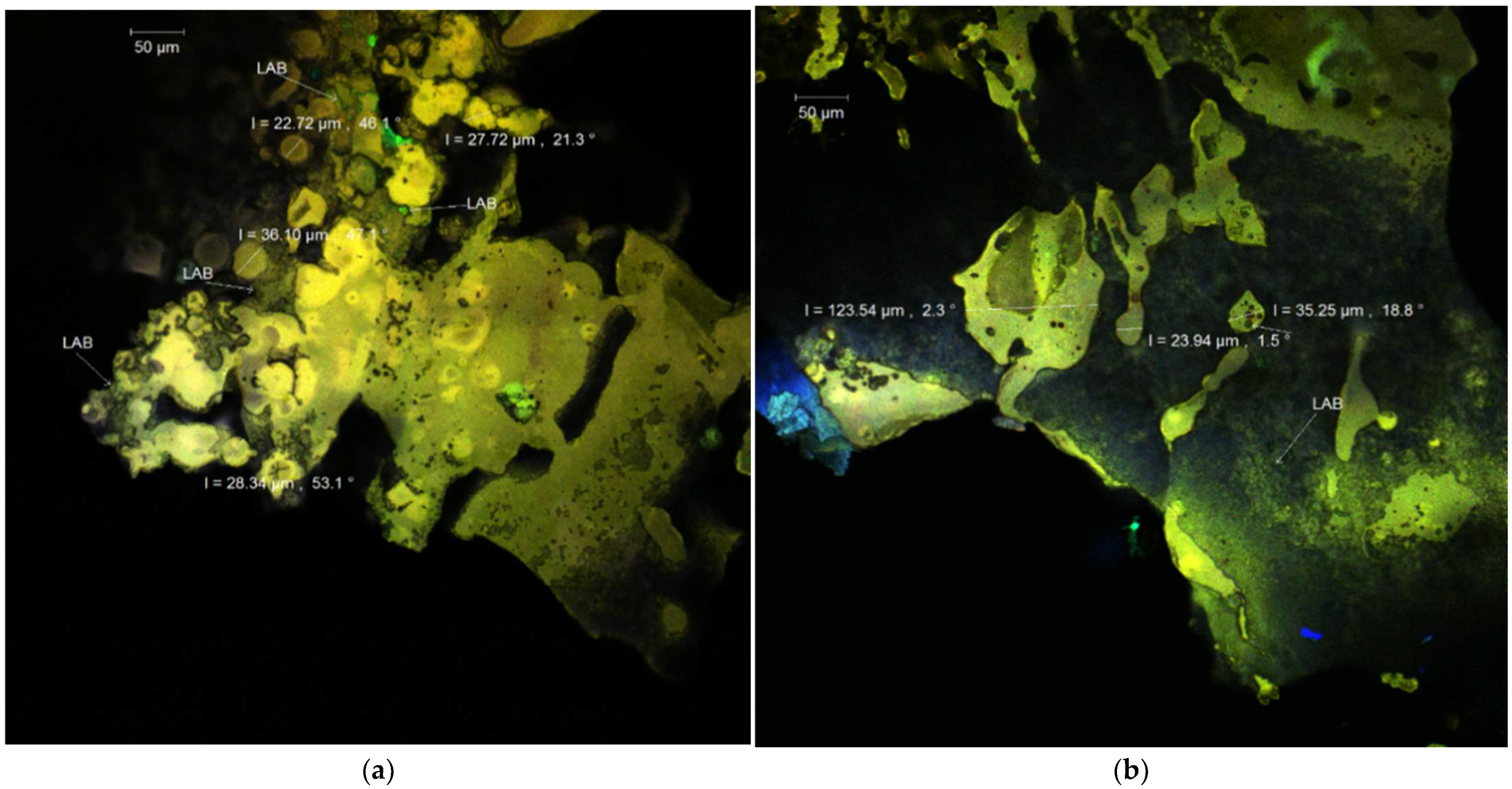 Nutrients 14 03458 g001 550