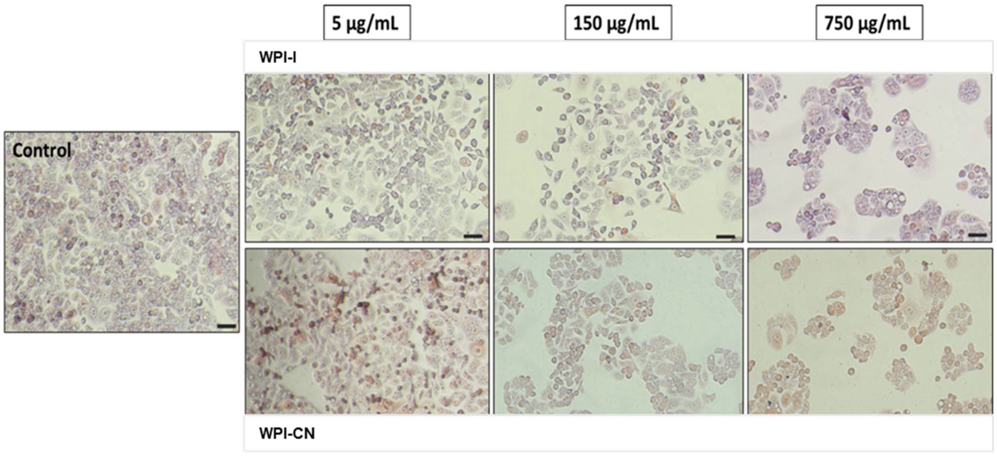 Nutrients 14 03458 g005 550