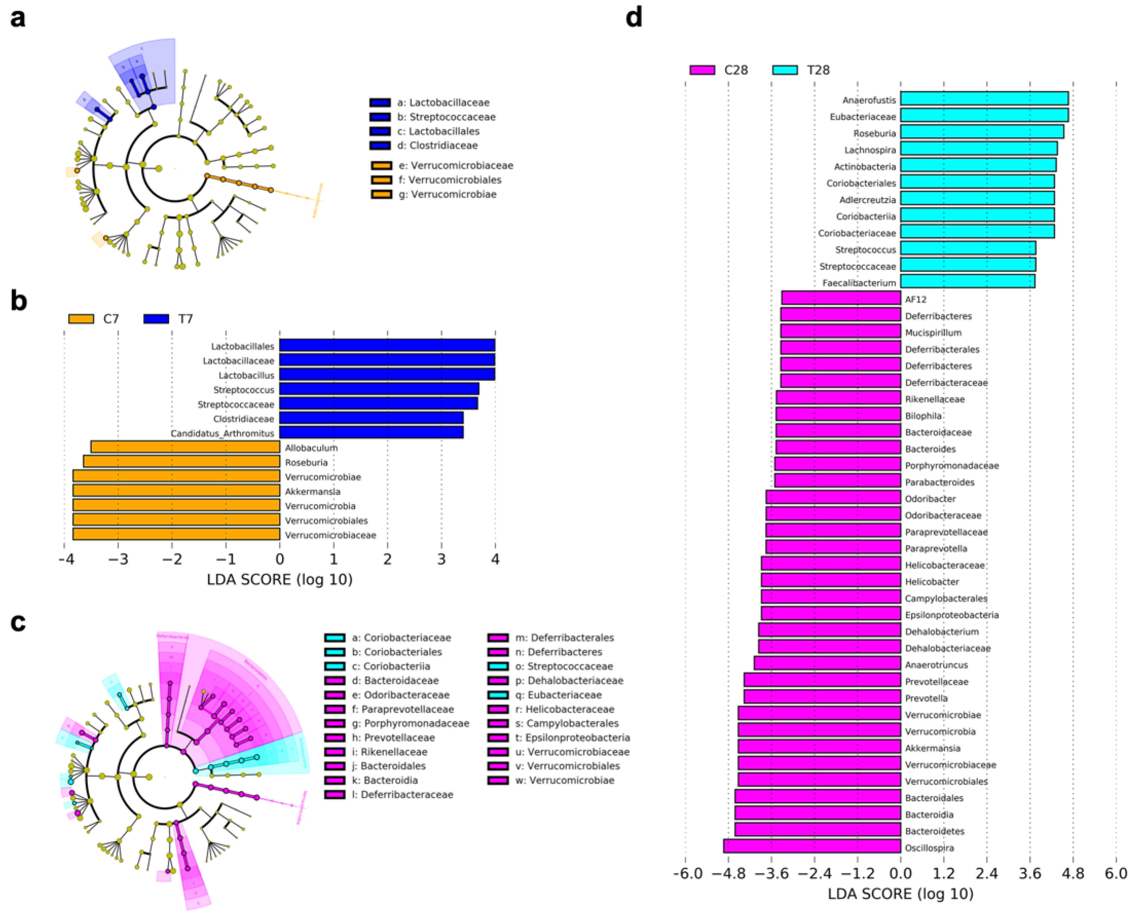 Nutrients 14 03467 g009 550