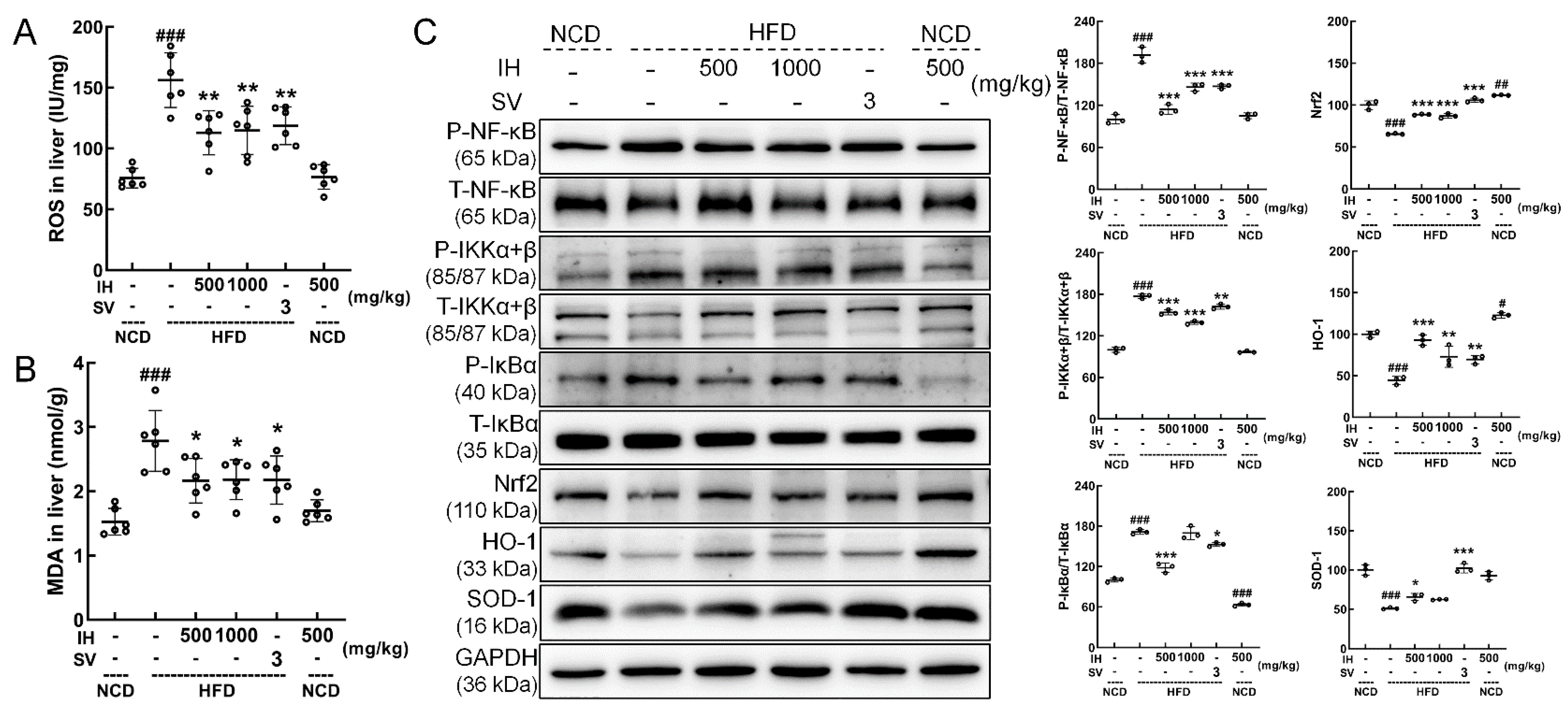 Nutrients 14 03477 g005 Nutrients 14 03477 g005