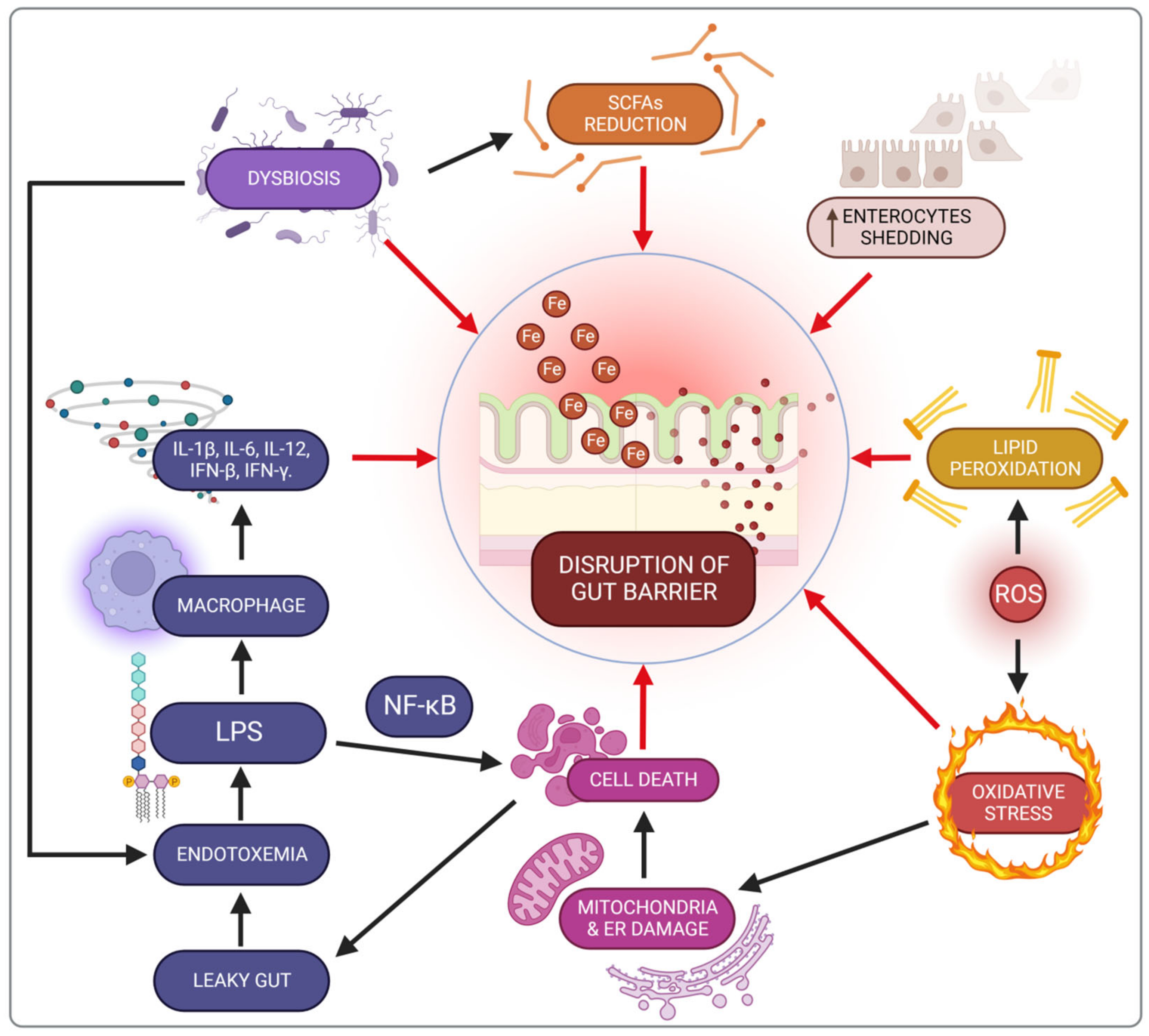 Nutrients 14 03478 g003 550