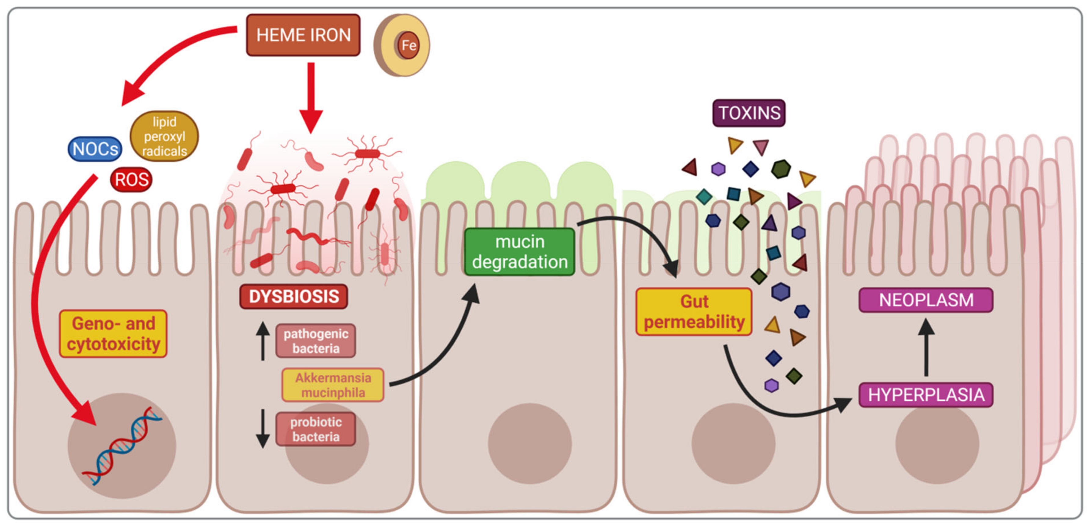 Nutrients 14 03478 g004 550