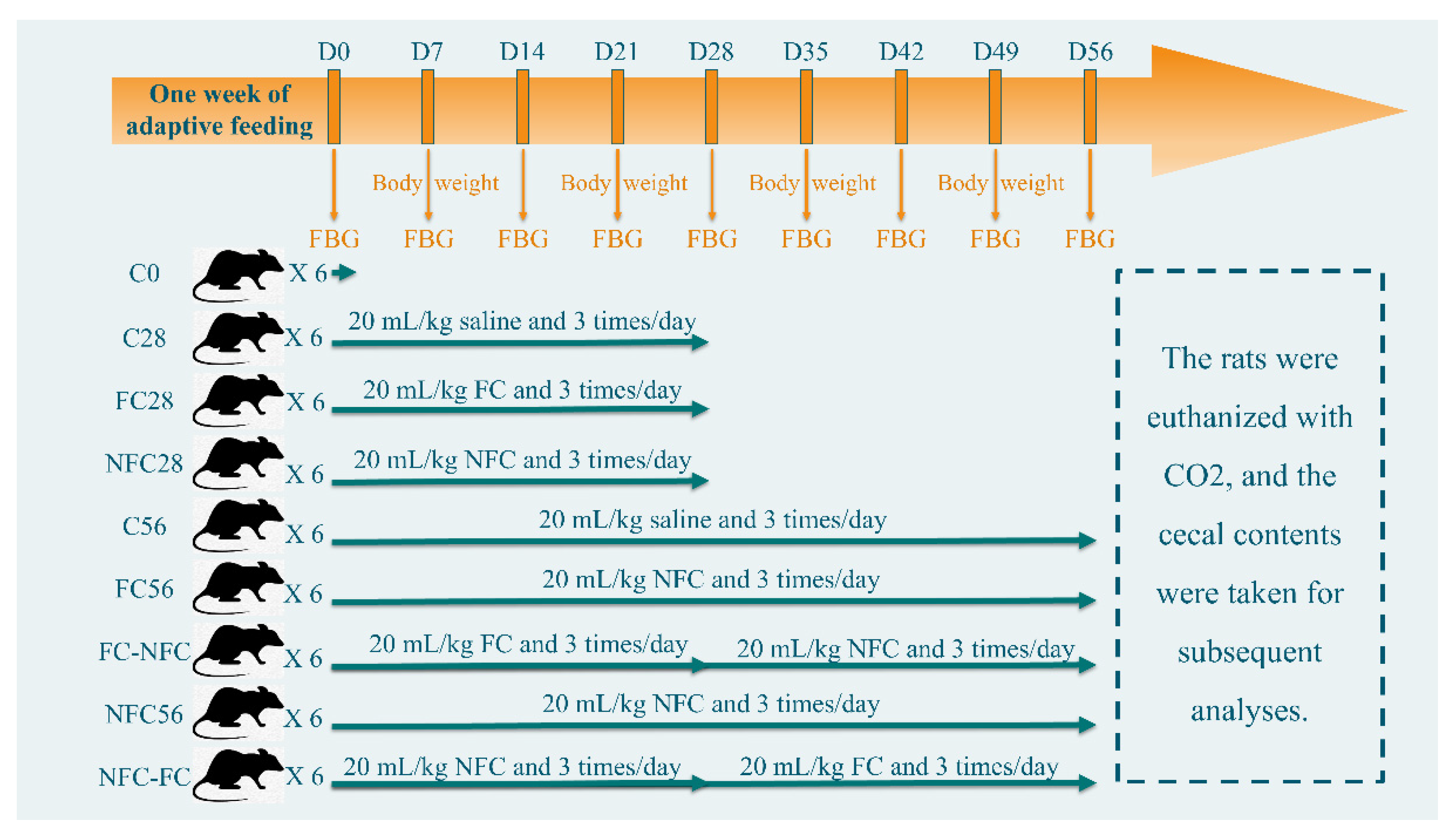Nutrients 14 03488 g001