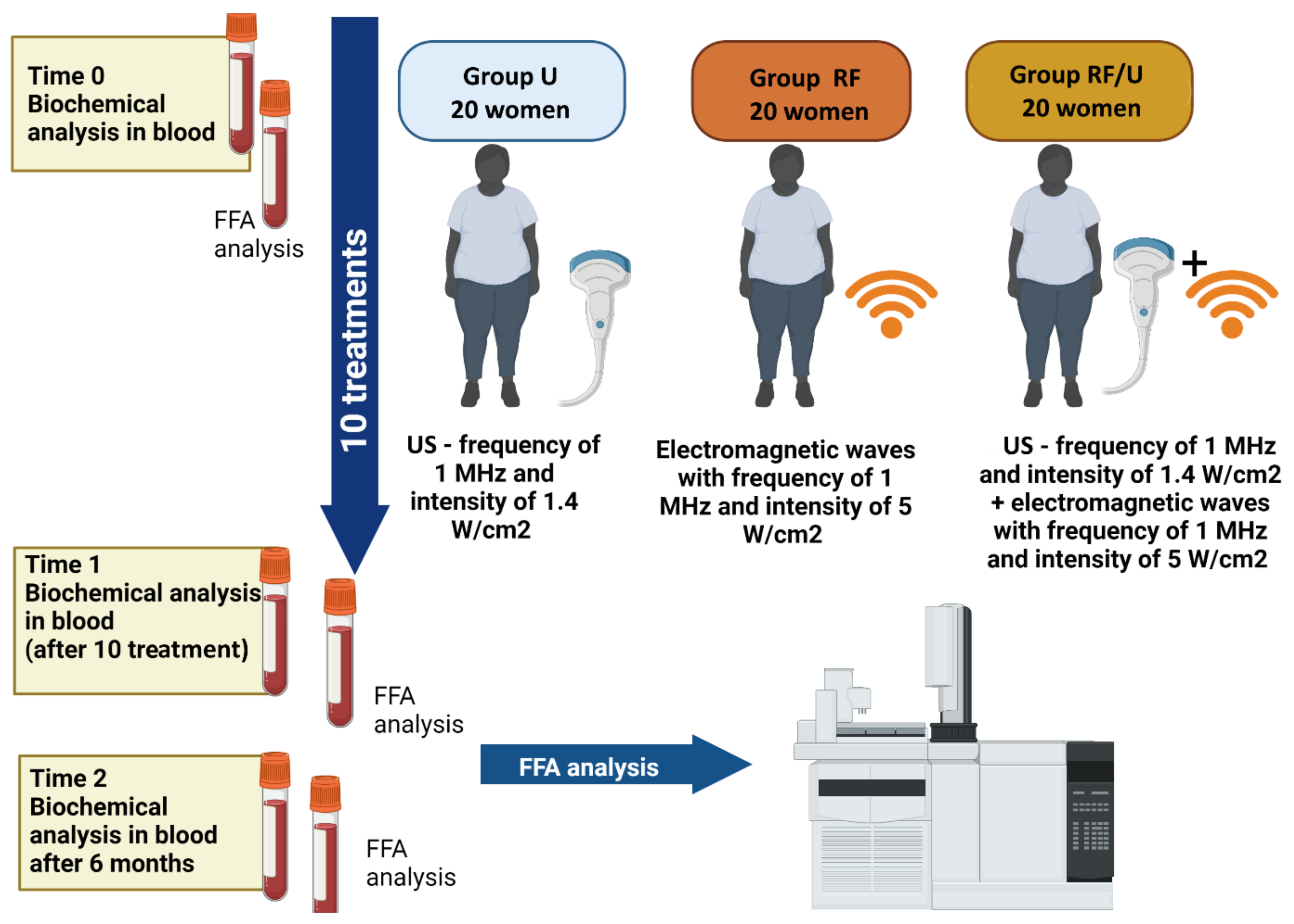 Nutrients 14 03498 g001