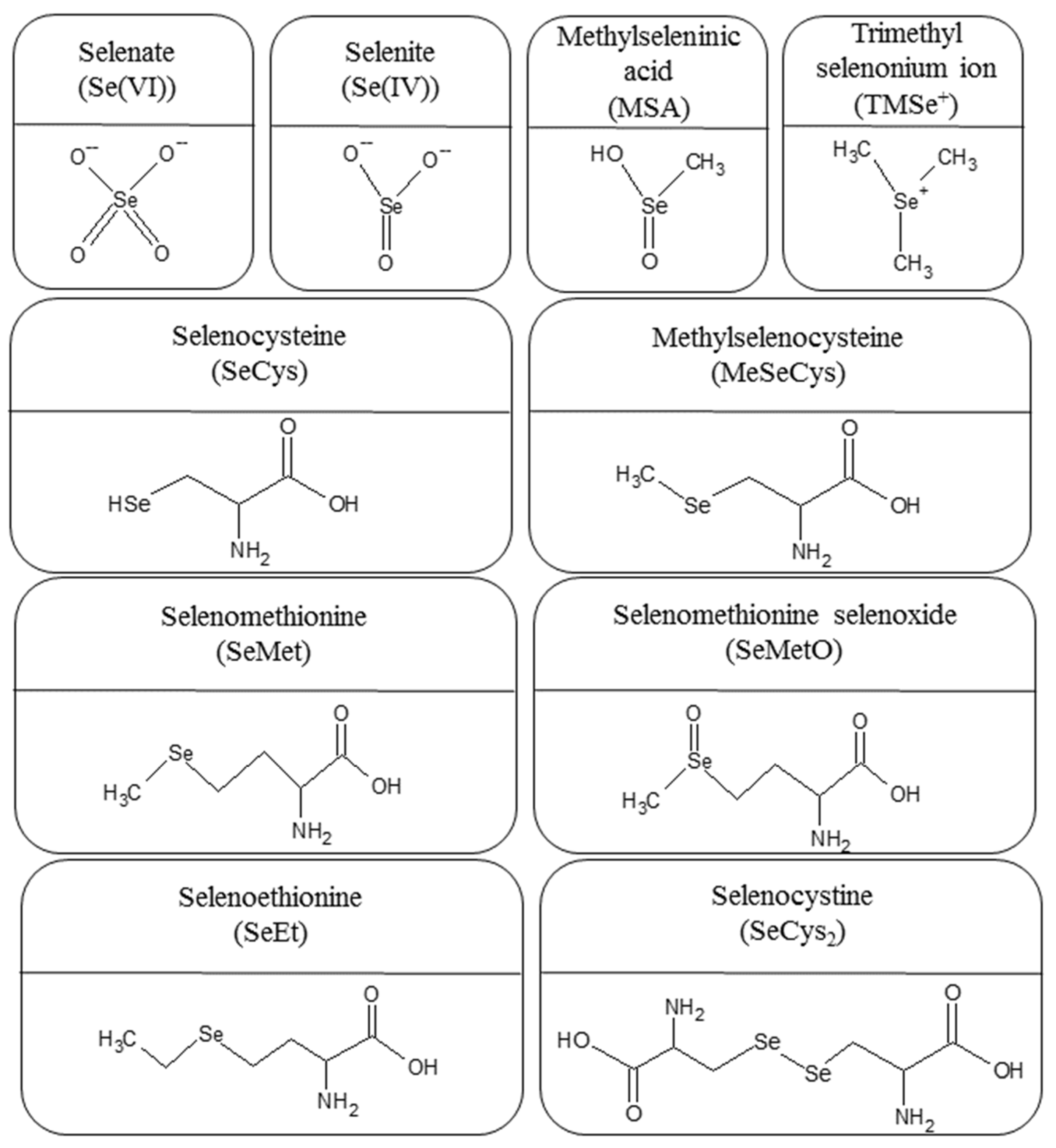 Nutrients 14 03530 g001