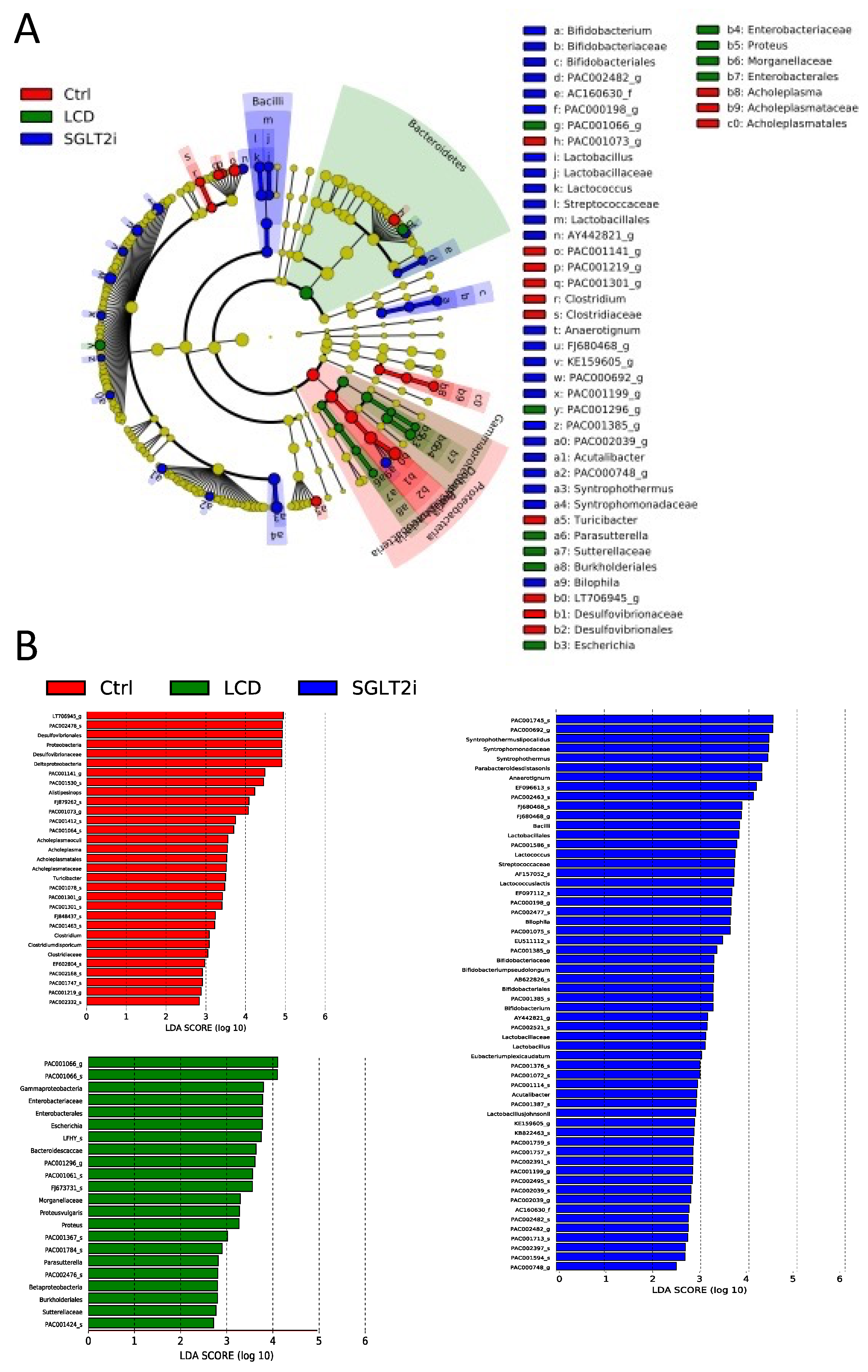 Nutrients 14 03531 g006