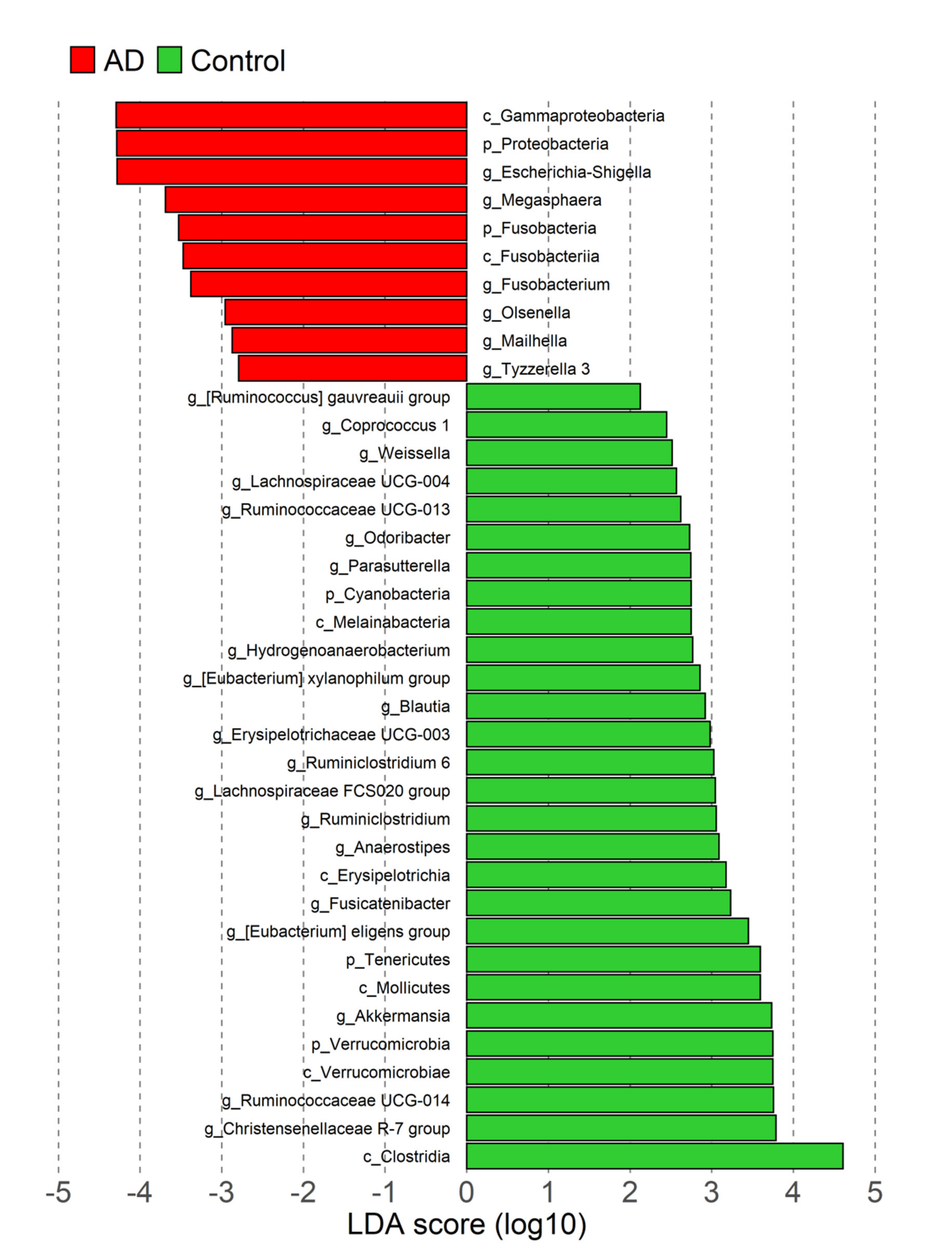 Nutrients 14 03545 g003