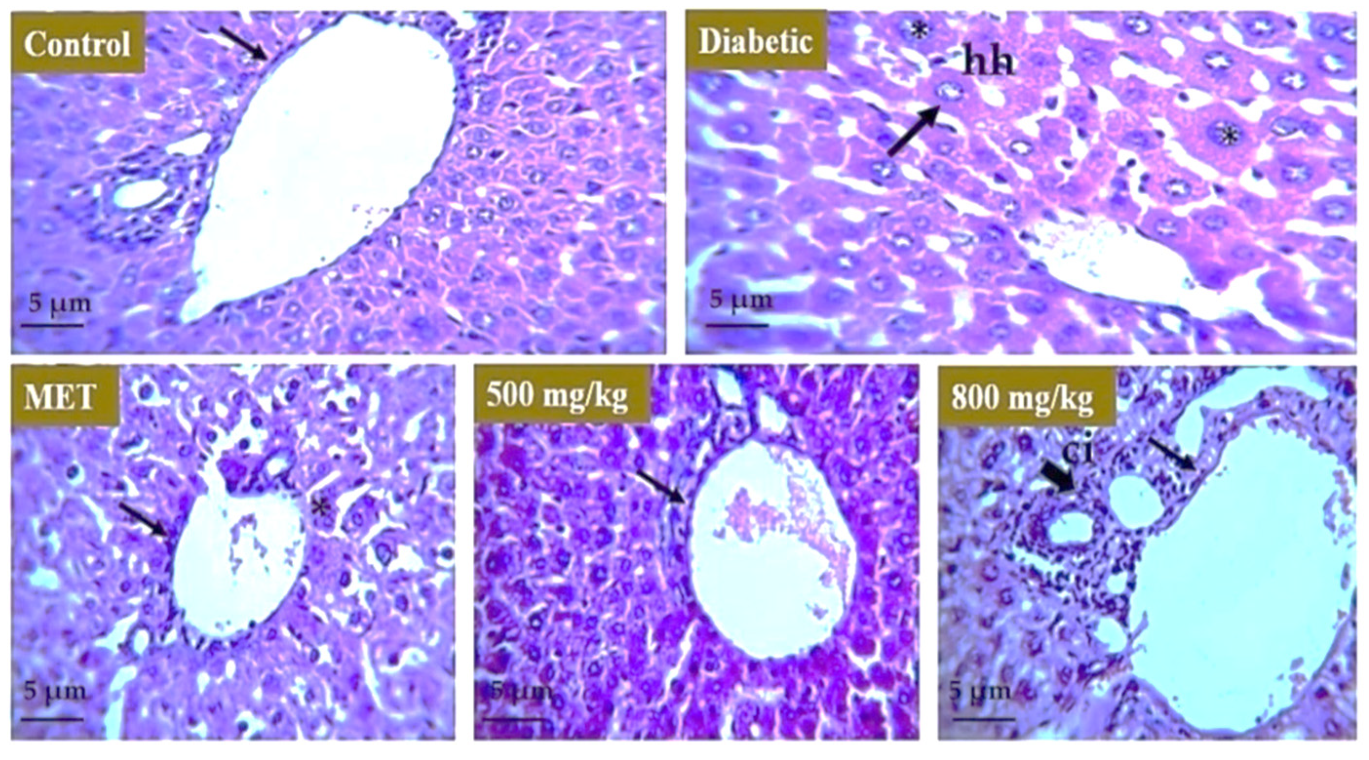 Nutrients 14 03561 g008 550