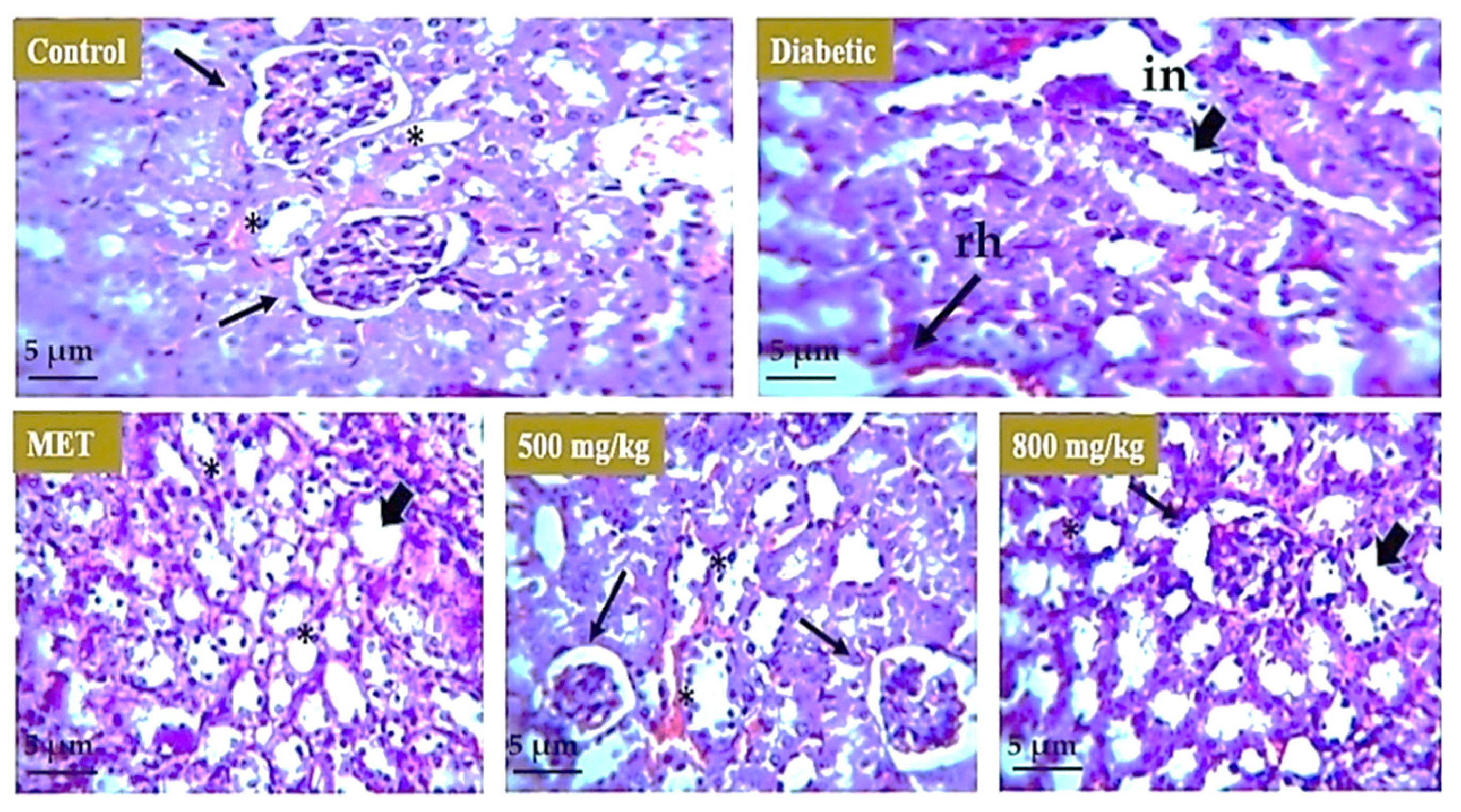 Nutrients 14 03561 g009 550