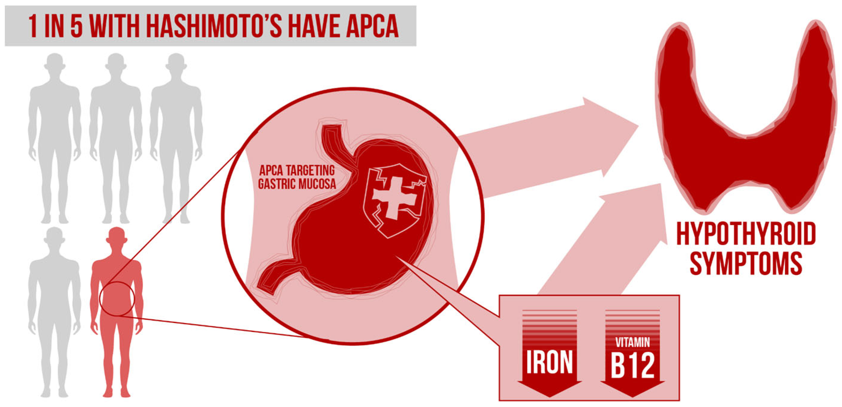 Nutrients 14 03572 g001 550