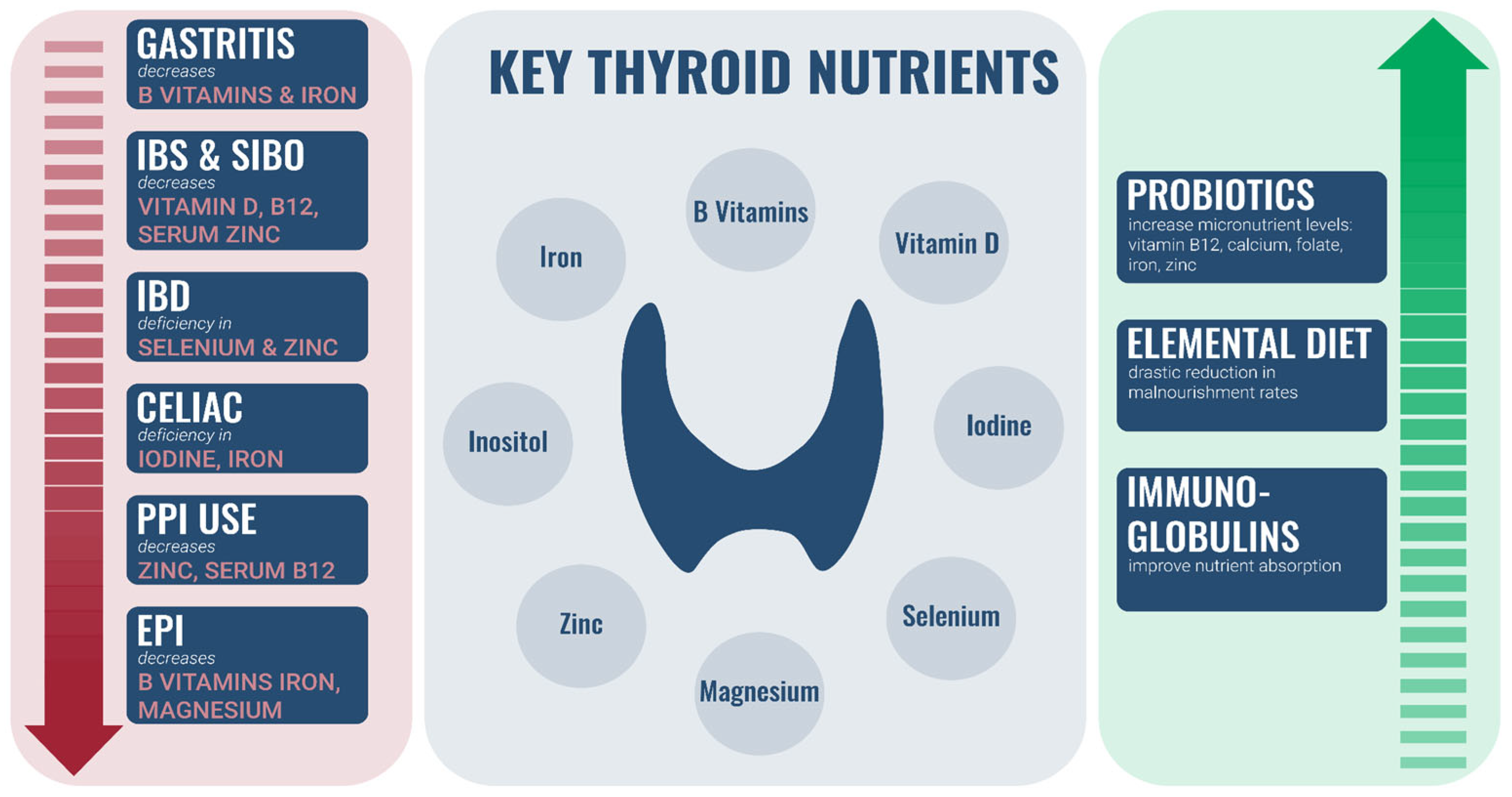 Nutrients 14 03572 g002 550