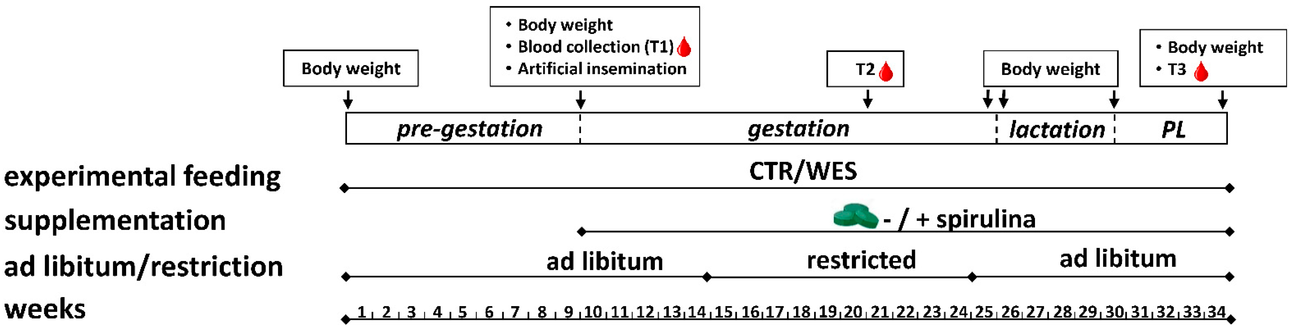 Nutrients 14 03574 g001