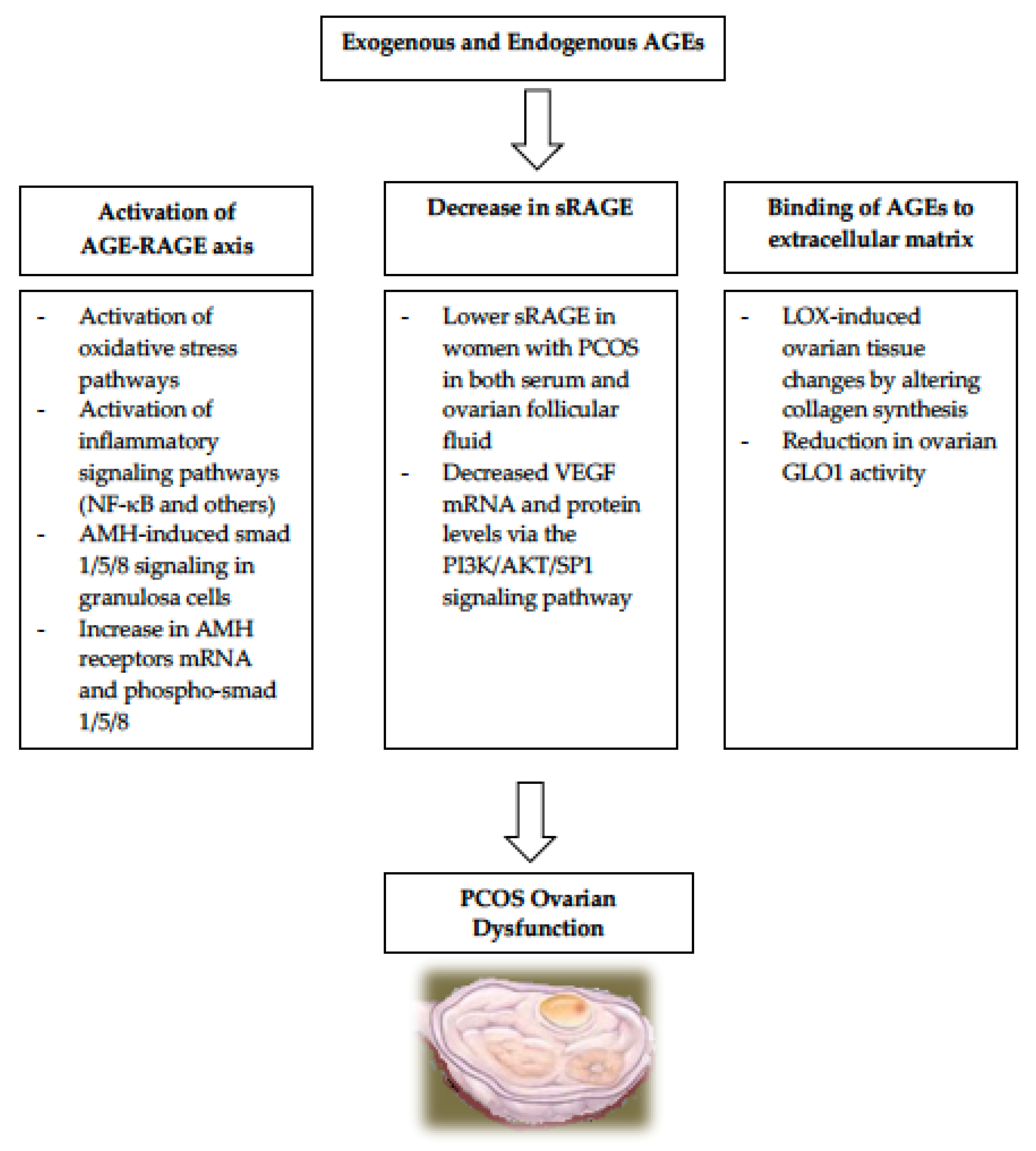 Nutrients 14 03578 g001