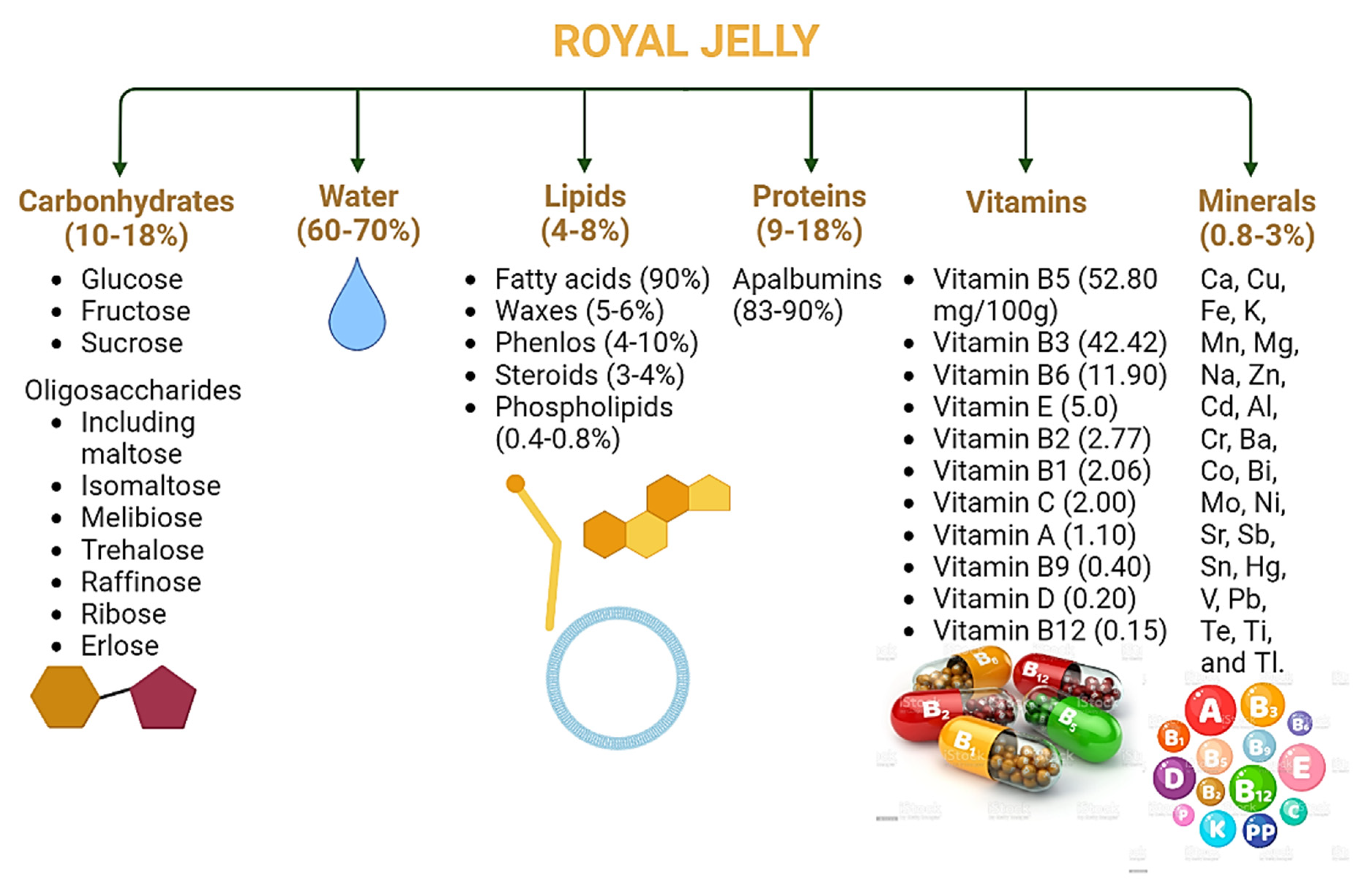 Nutrients 14 03579 g007 Nutrients 14 03579 g007