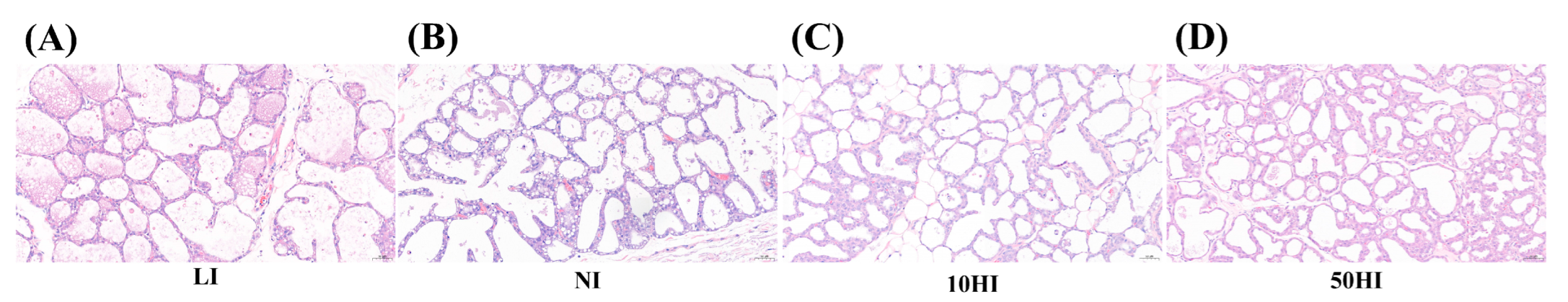 Nutrients 14 03592 g002 Nutrients 14 03592 g002