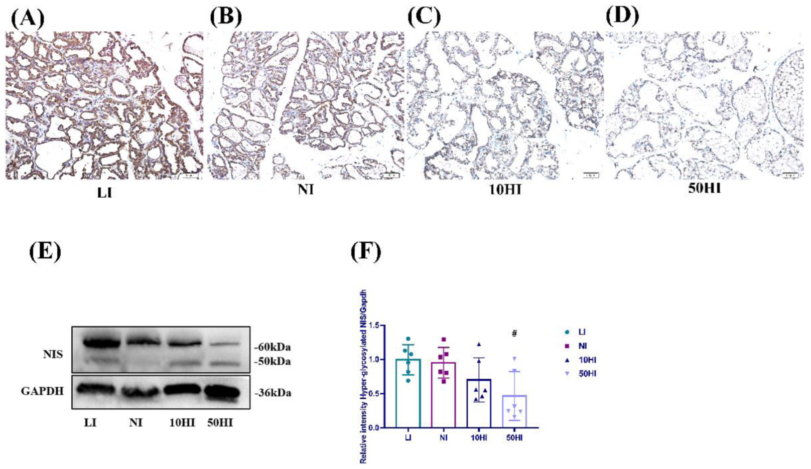 Nutrients 14 03592 g003 Nutrients 14 03592 g003