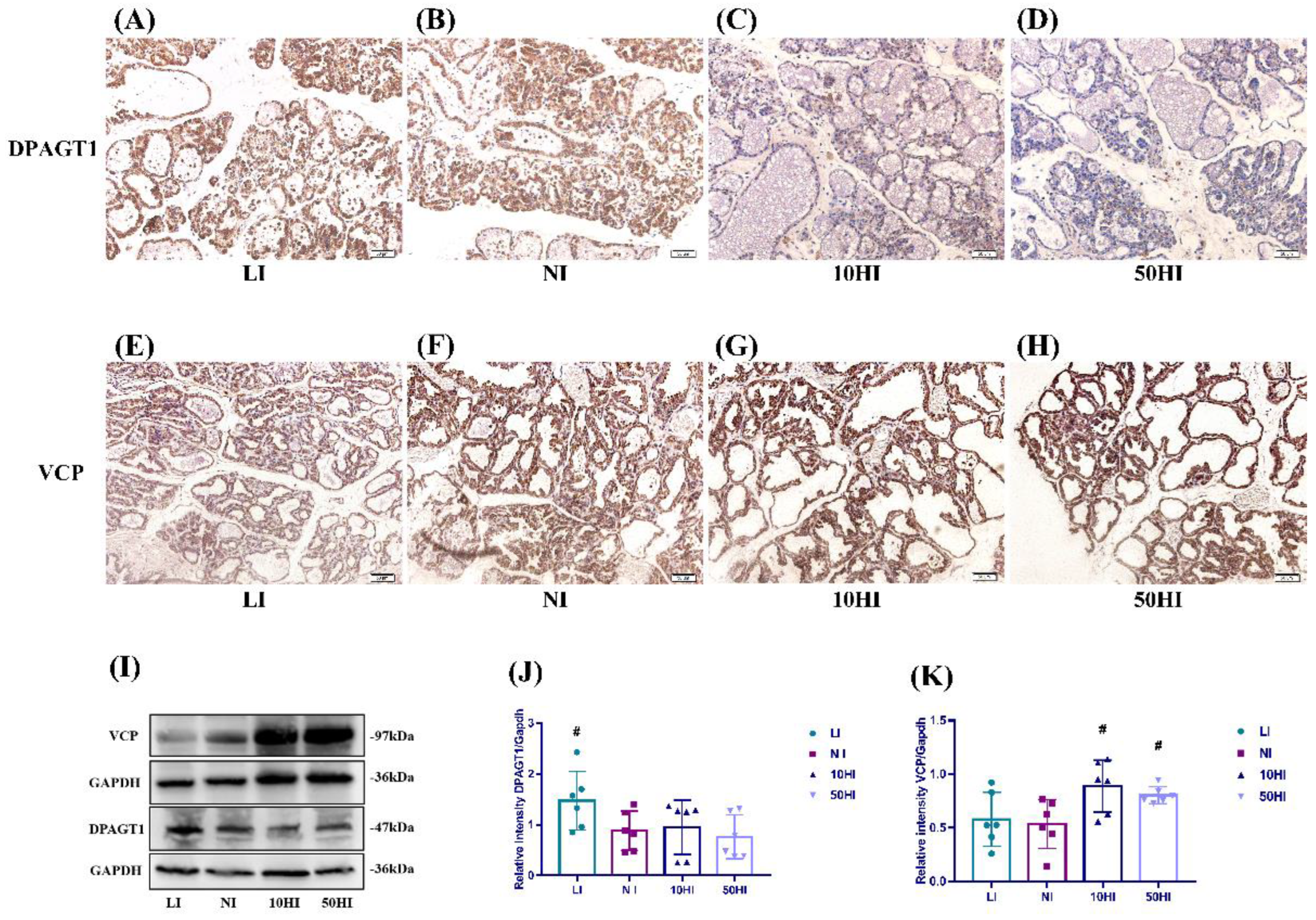 Nutrients 14 03592 g004 Nutrients 14 03592 g004