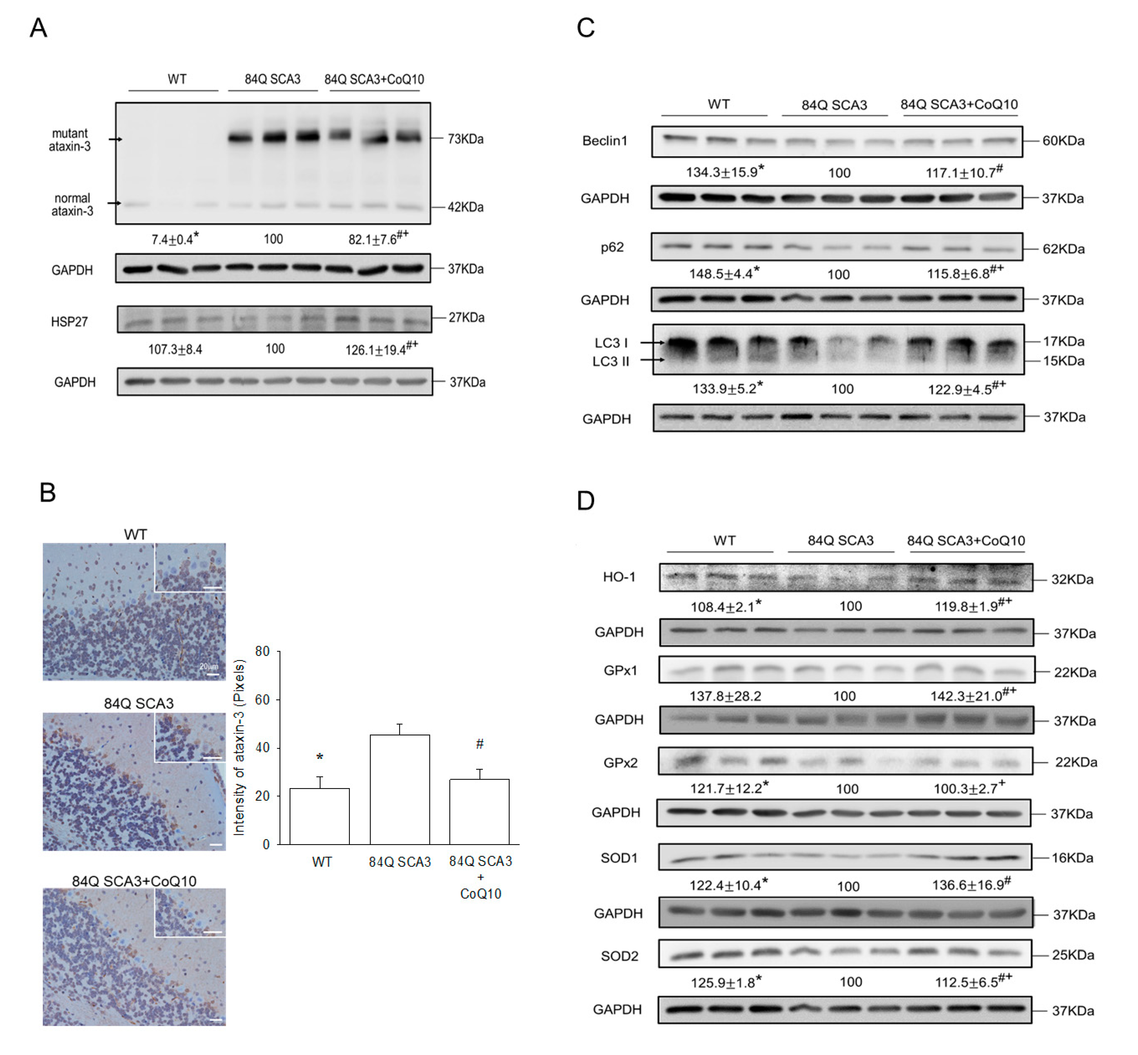Nutrients 14 03593 g005