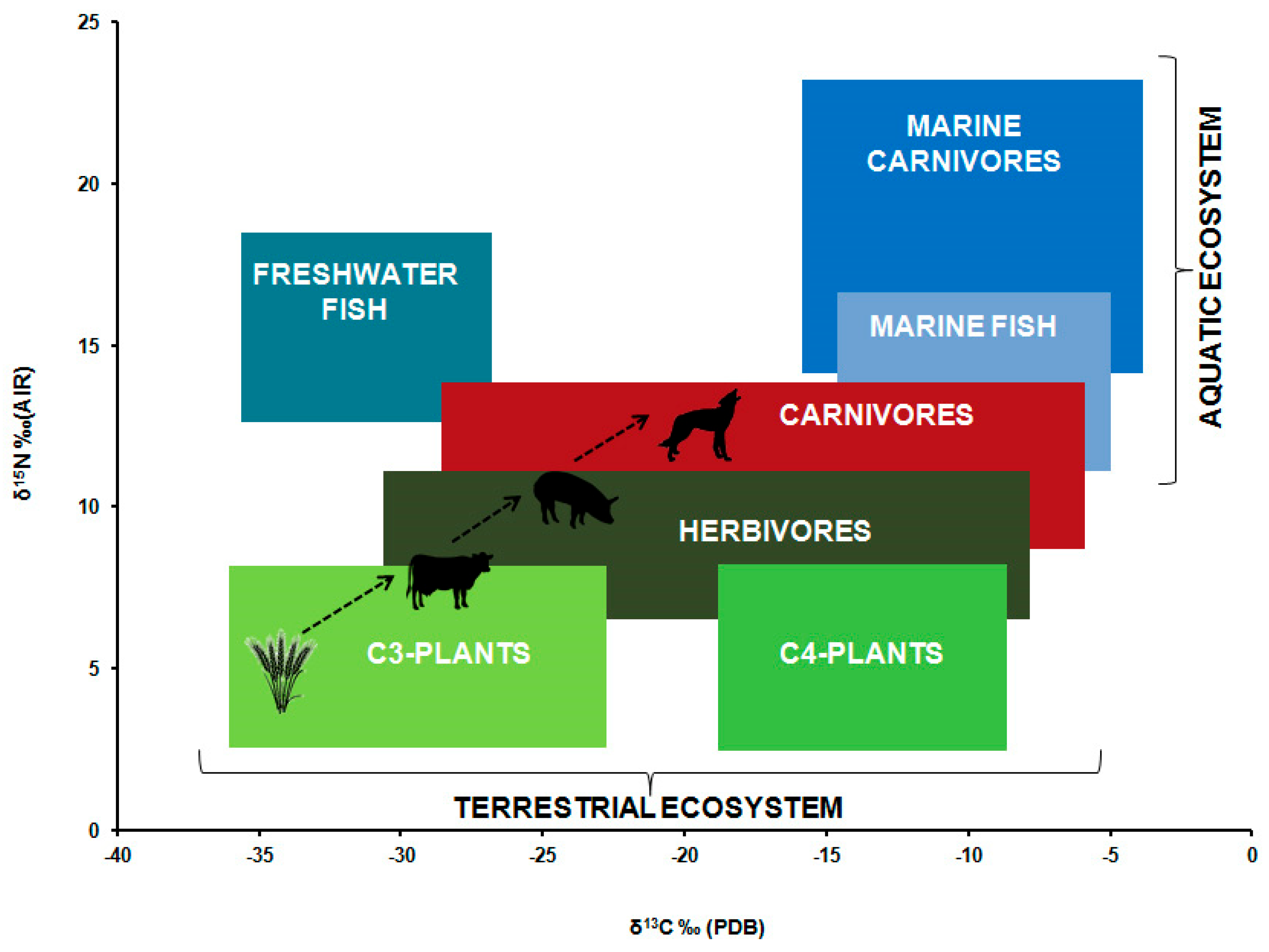 Tropical forest conservation: long-term processes of human evolution,  cultural adaptations and consumption patterns