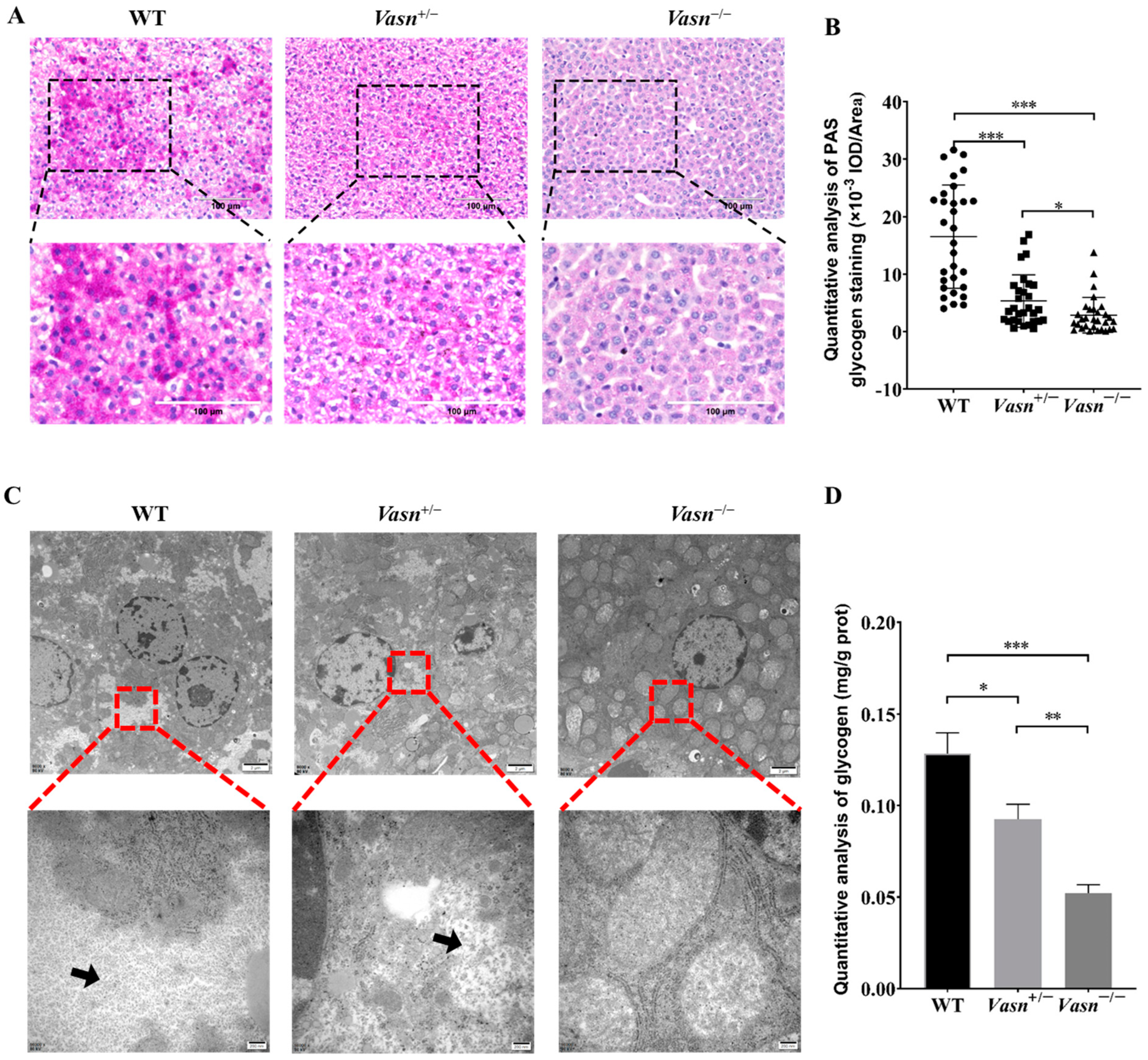 Nutrients 14 03600 g003