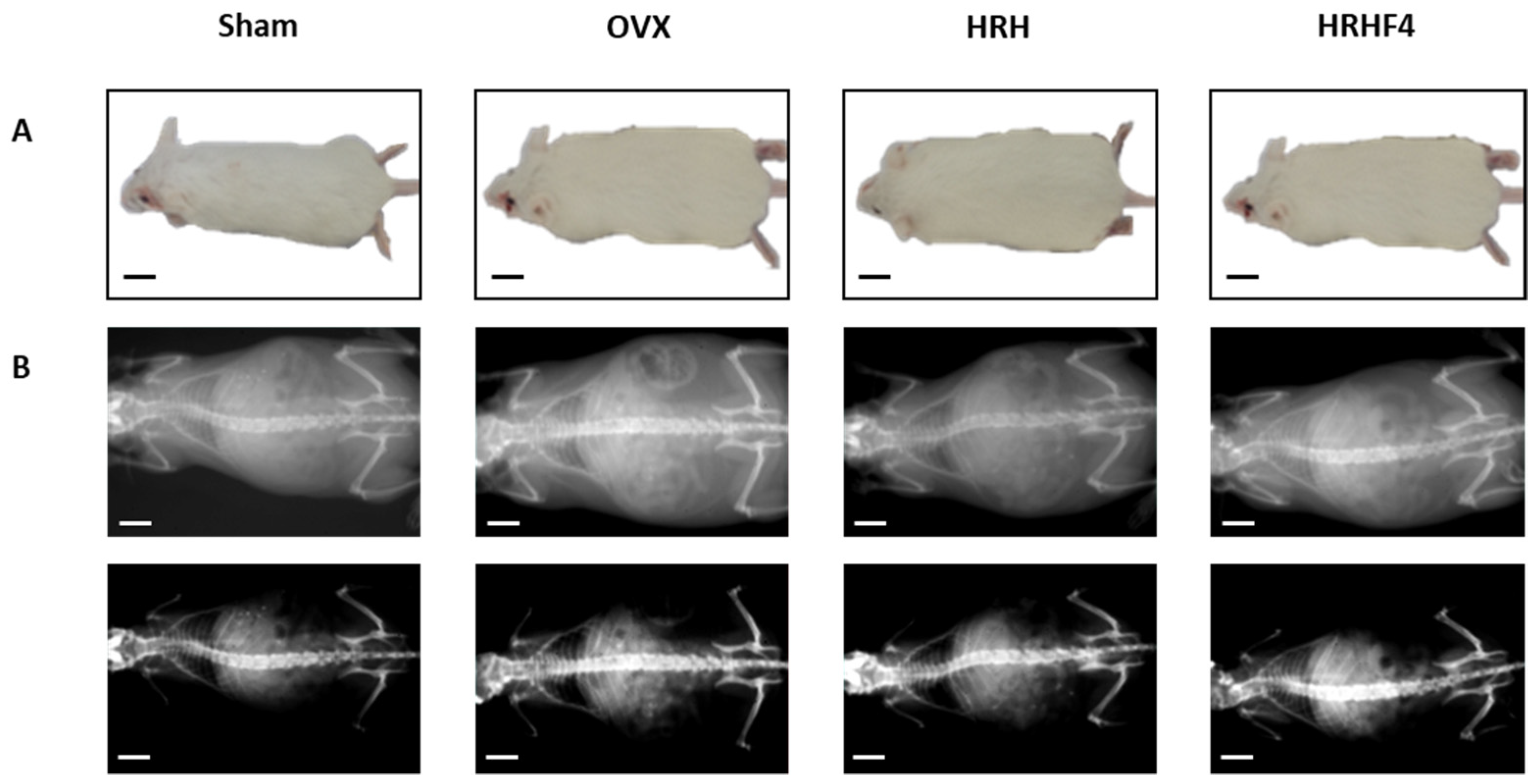 Nutrients 14 03604 g003