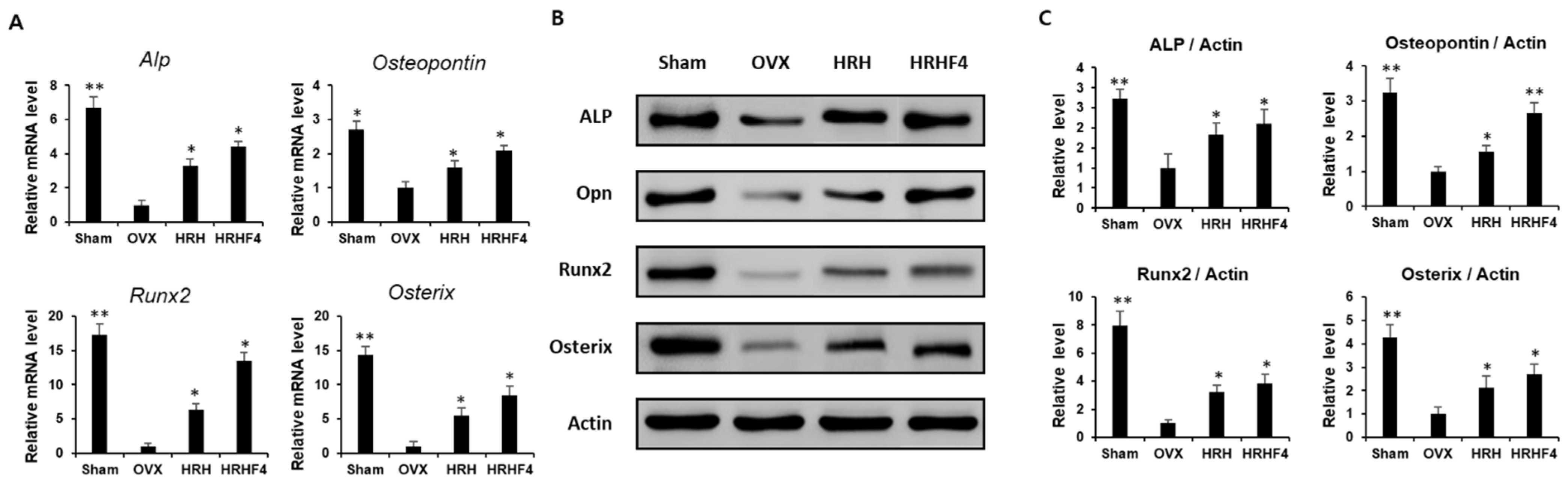 Nutrients 14 03604 g005