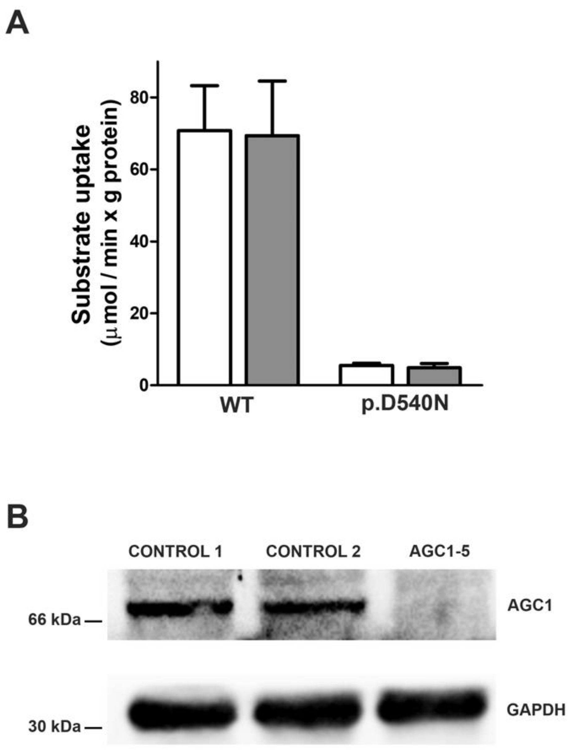 Nutrients 14 03605 g005