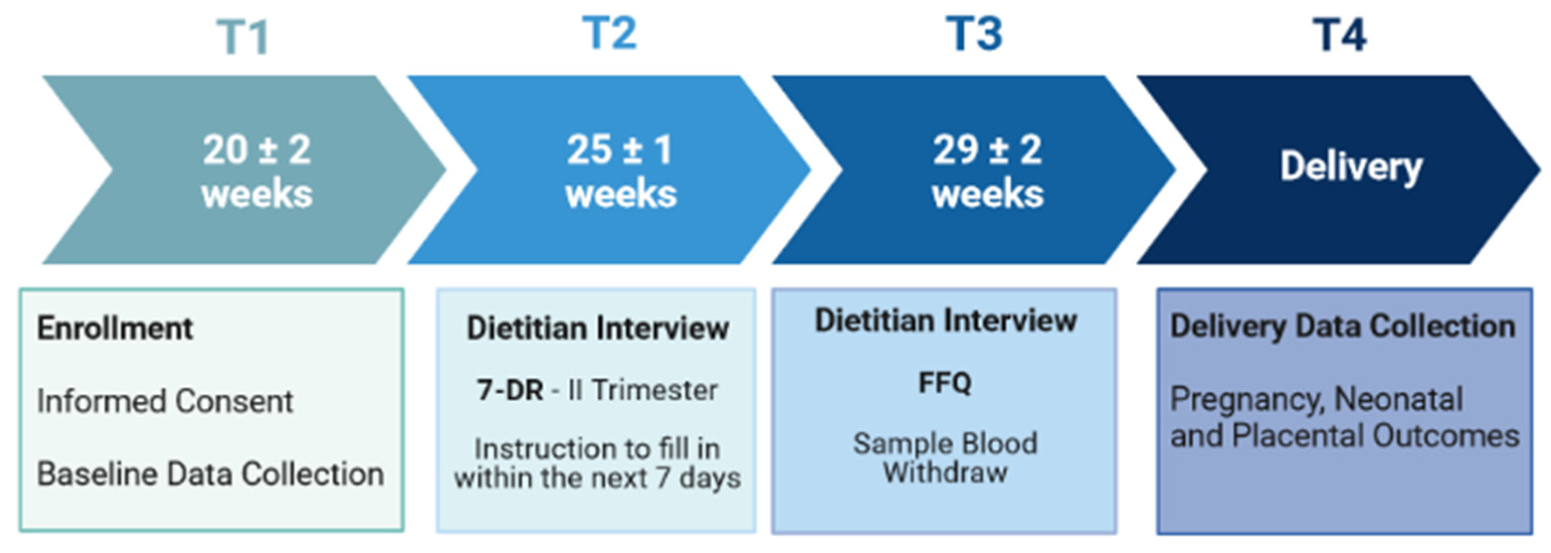 Nutrients 14 03631 g001