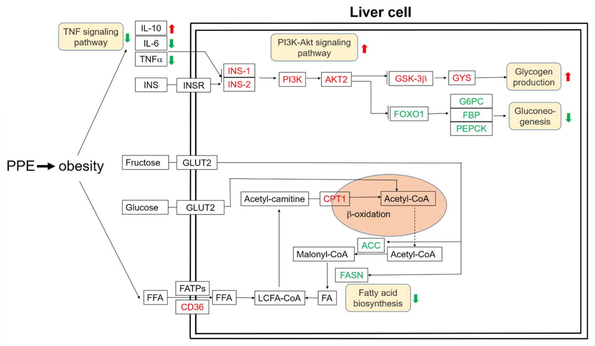 Nutrients 14 03635 g003