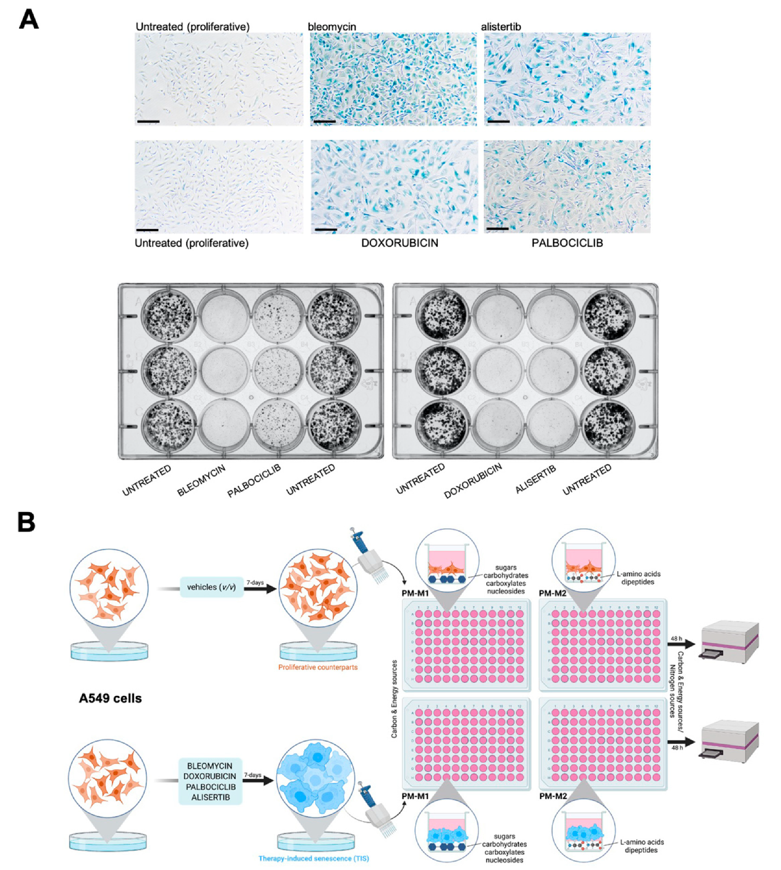 Nutrients 14 03636 g001