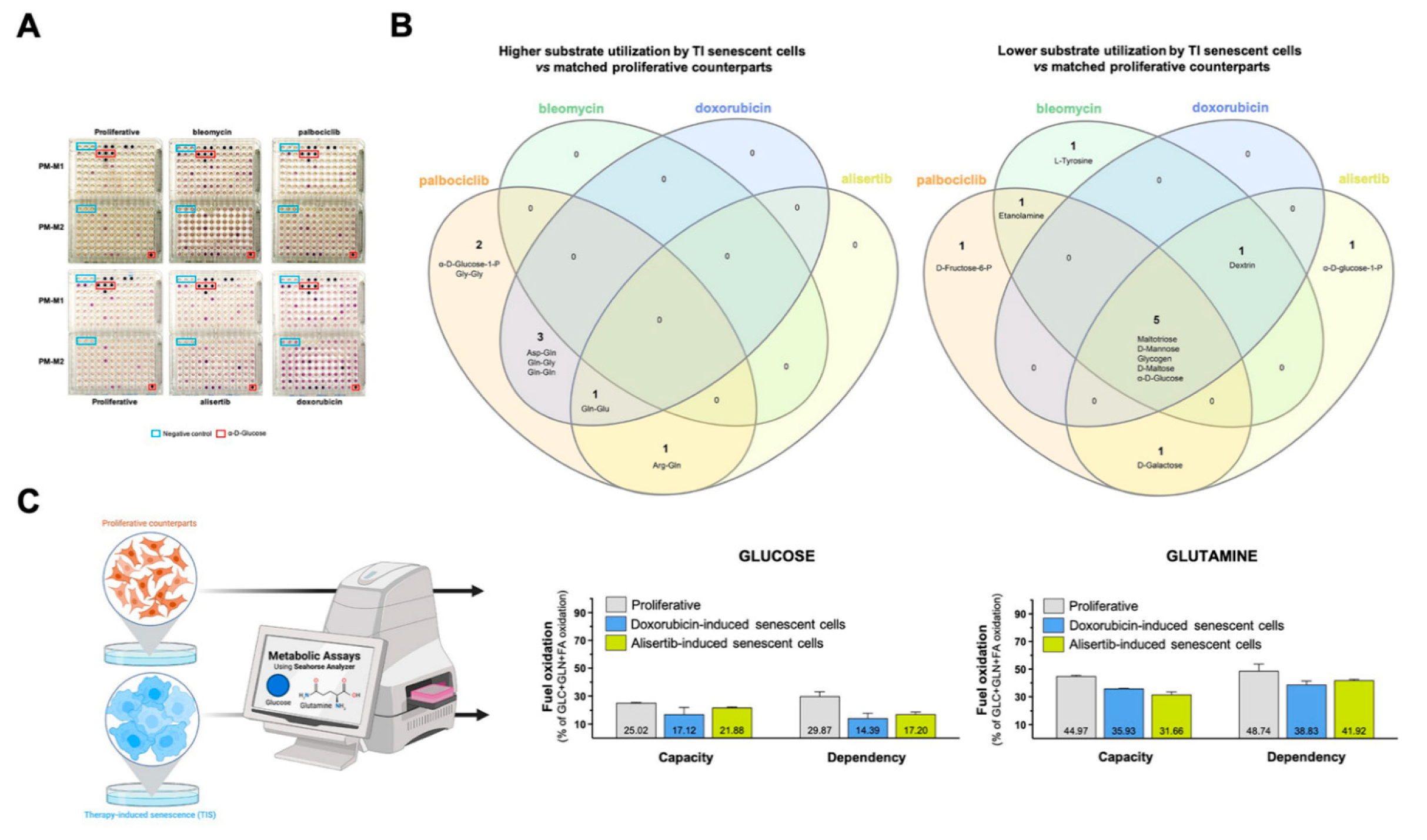Nutrients 14 03636 g002