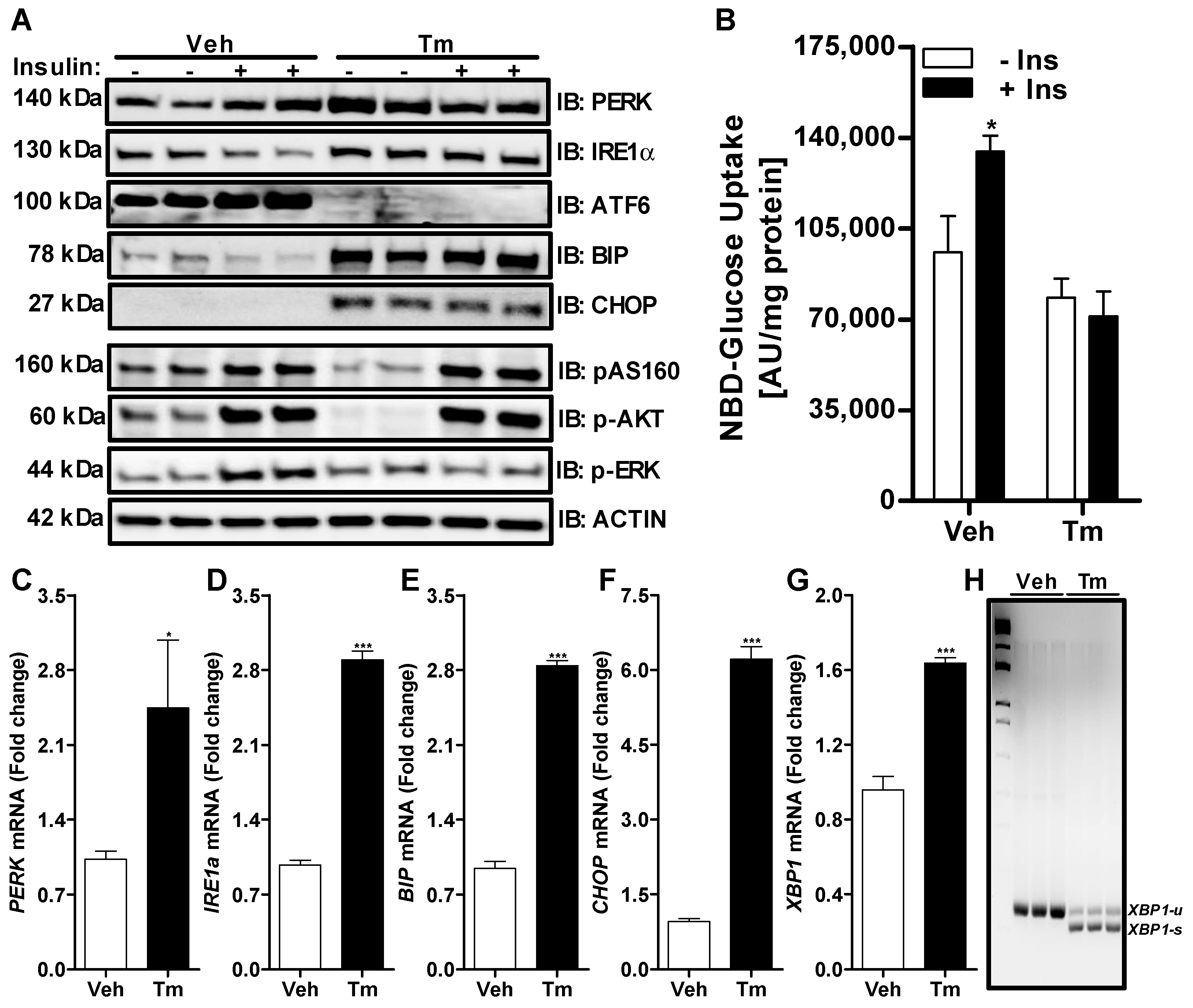 Nutrients 14 03641 g001