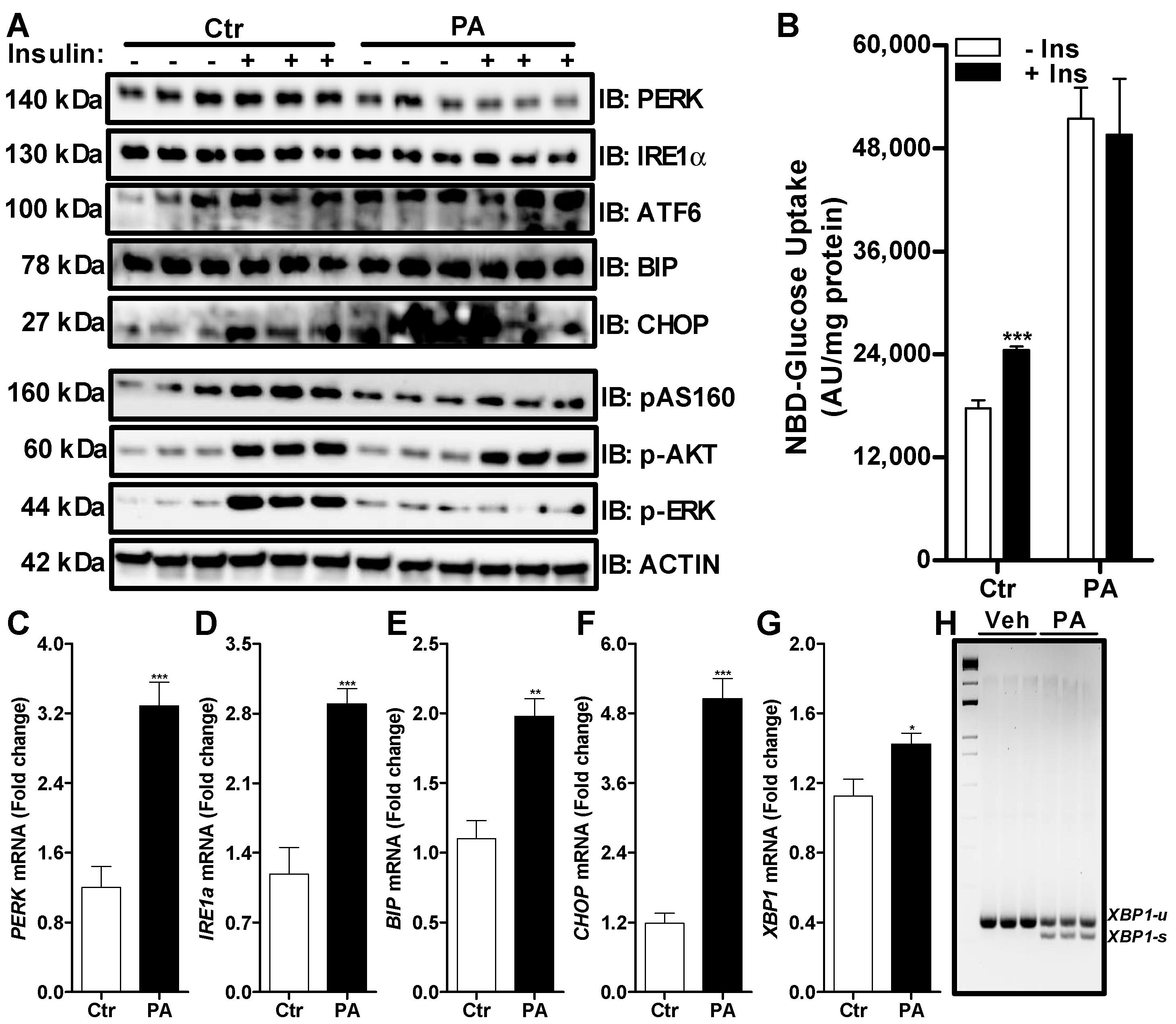 Nutrients 14 03641 g002