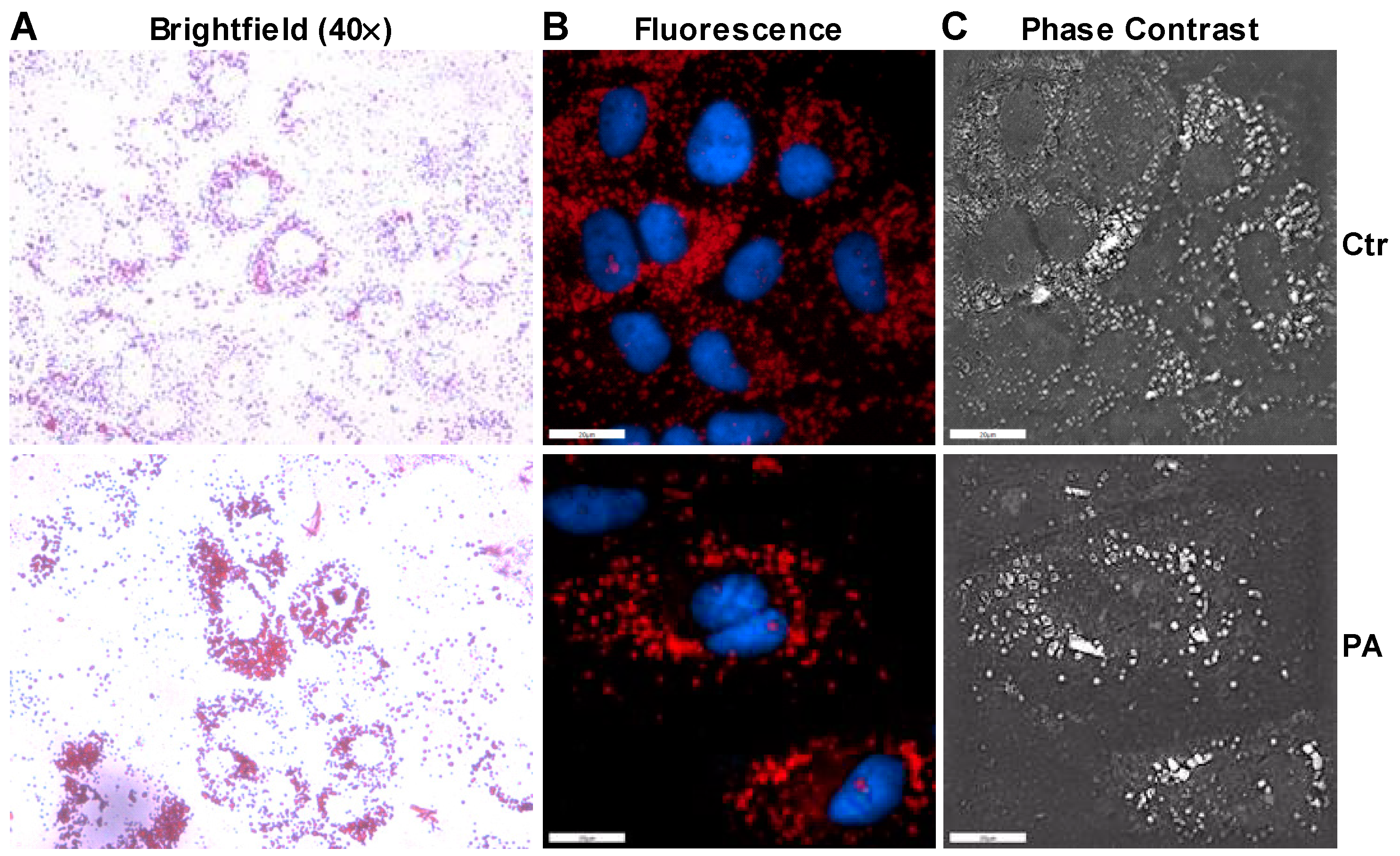 Nutrients 14 03641 g003
