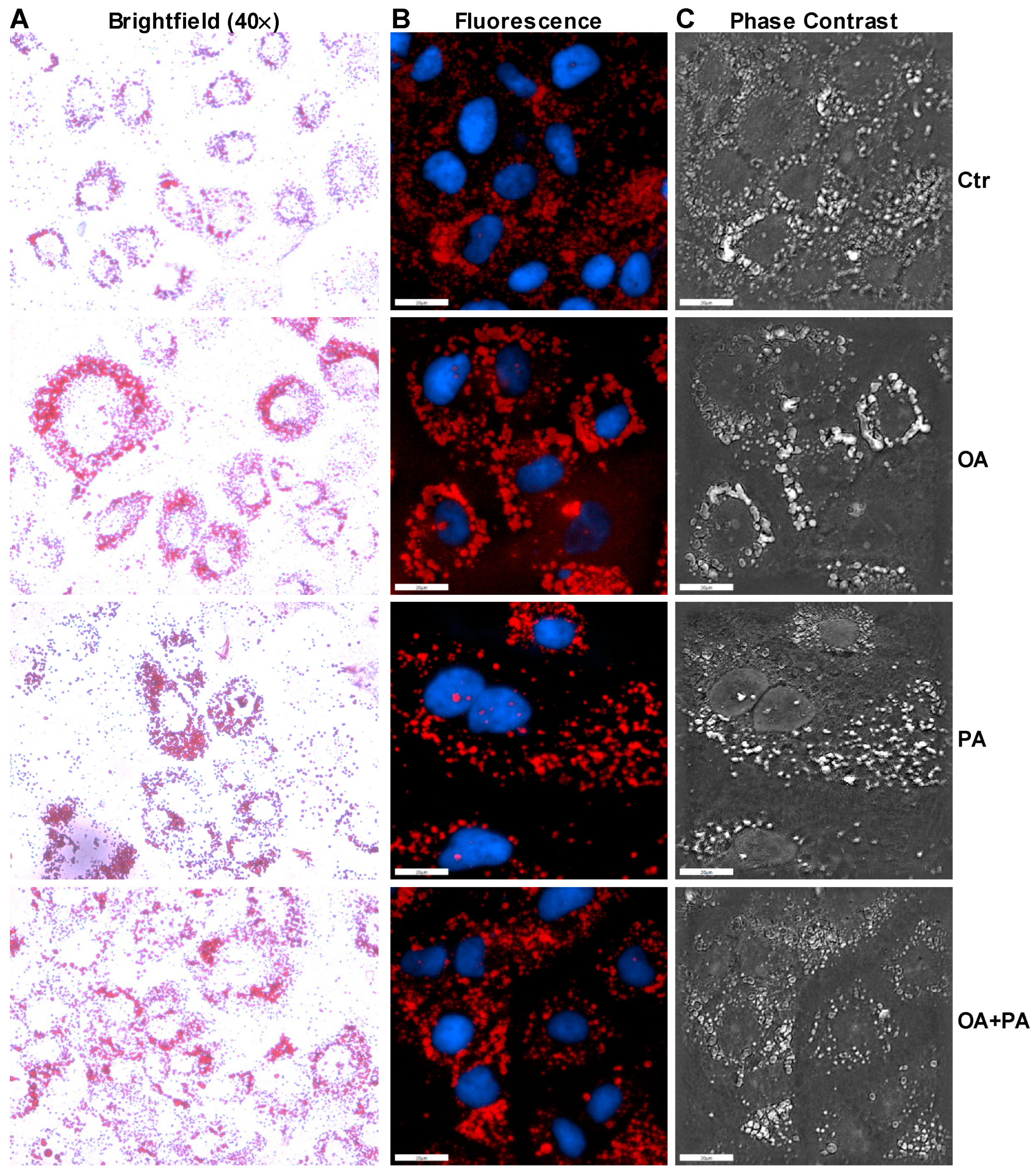 Nutrients 14 03641 g005