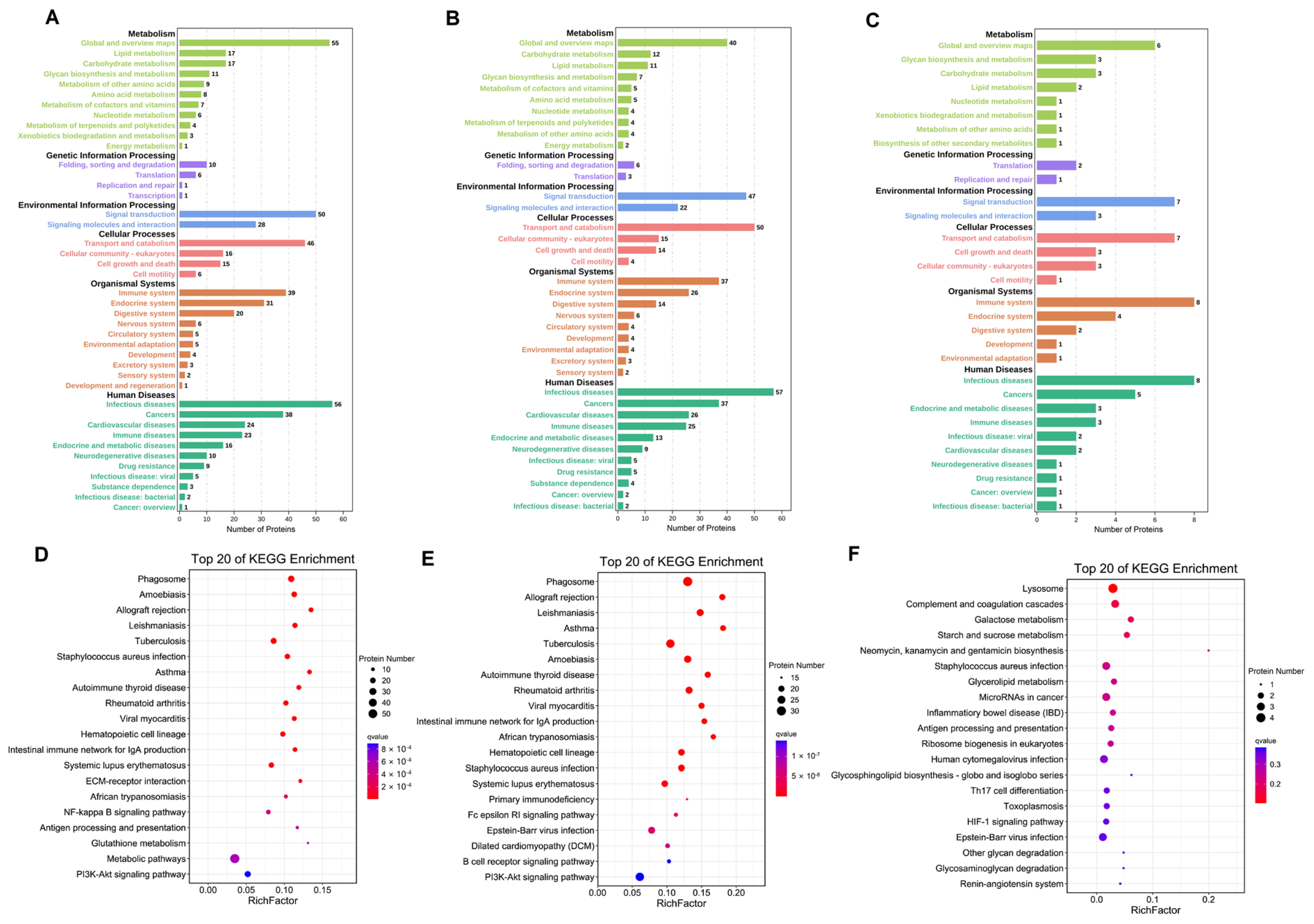 Nutrients 14 03648 g005 550