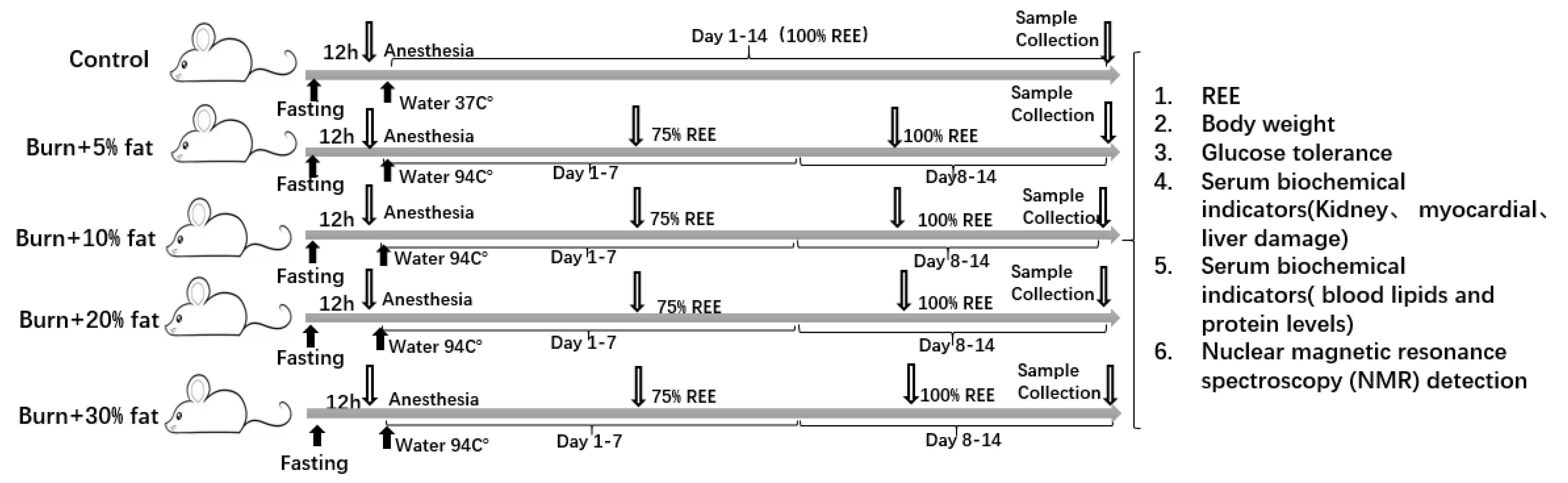 Nutrients 14 03653 sch001