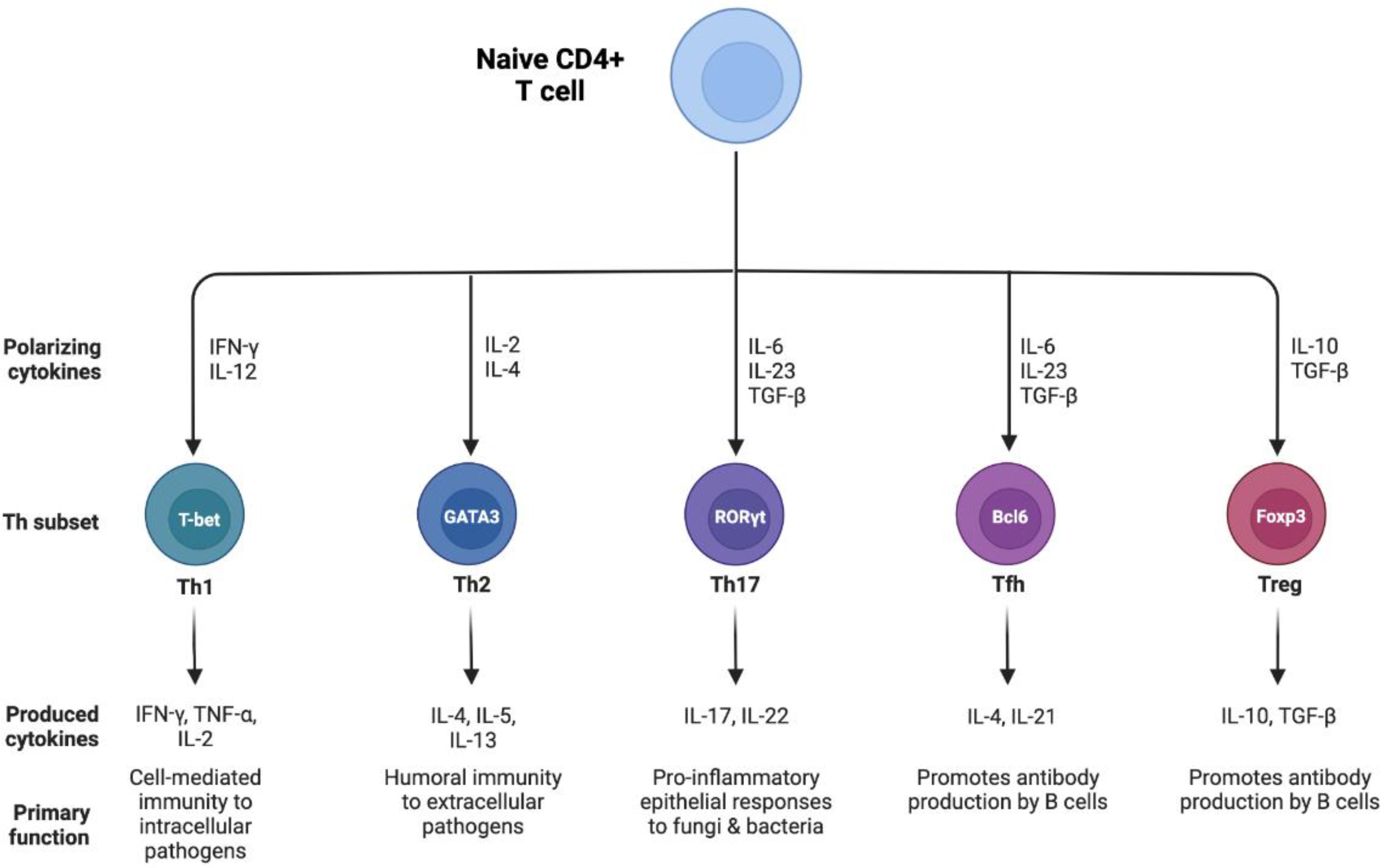 Nutrients 14 03670 g001 Nutrients 14 03670 g001
